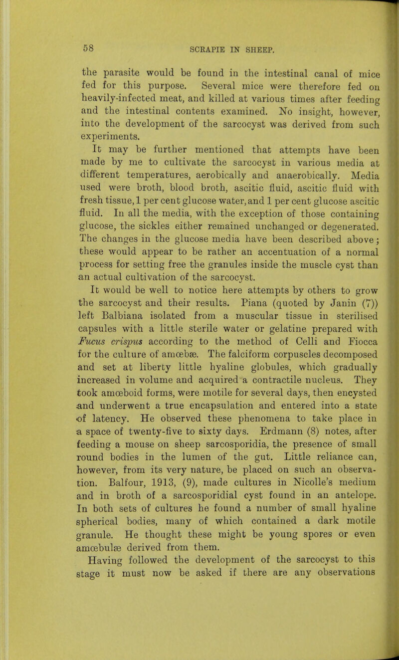 the parasite would be found ia the intestinal canal of mice fed for this purpose. Several mice were therefore fed on heavily-infected meat, and killed at various times after feeding and the intestinal contents examined. No insight, however, into the development of the sarcocyst was derived from such experiments. It may be further mentioned that attempts have been made by me to cultivate the sarcocyst in various media at different temperatures, aerobically and anaerobically. Media used were broth, blood broth, ascitic fluid, ascitic fluid with fresh tissue, 1 per cent glucose water, and 1 per cent glucose ascitic fluid. In all the media, with the exception of those containing glucose, the sickles either remained unchanged or degenerated. The changes in the glucose media have been described above; these would appear to be rather an accentuation of a normal process for setting free the granules inside the muscle cyst than an actual cultivation of the sarcocyst. It would be well to notice here attempts by others to grow the sarcocyst and their results. Plana (quoted by Janin (7)) left Balbiana isolated from a muscular tissue in sterilised capsules with a little sterile water or gelatine prepared with Fucus crispus according to the method of Celli and Fiocca for the culture of amoebae. The falciform corpuscles decomposed and set at liberty little hyaline globules, which gradually increased in volume and acquired a contractile nucleus. They took amoeboid forms, were motile for several days, then encysted and underwent a true encapsulation and entered into a state of latency. He observed these phenomena to take place in a space of twenty-five to sixty days. Erdmann (8) notes, after feeding a mouse on sheep sarcosporidia, the presence of small round bodies in the lumen of the gut. Little reliance can, however, from its very nature, be placed on such an observa- tion. Balfour, 1913, (9), made cultures in Nicolle's medium and in broth of a sarcosporidial cyst found in an antelope. In both sets of cultures he found a number of small hyaline spherical bodies, many of which contained a dark motile granule. He thought these might be young spores or even amcebulse derived from them. Having followed the development of the sarcocyst to this stage it must now be asked if there are any observations