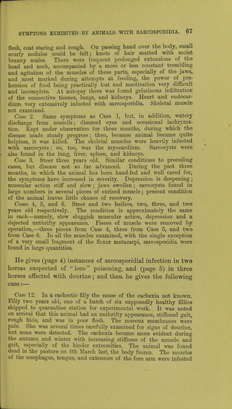 flesh, coat staring and rough. On passing hand over the body, small scurfy nodules could be felt; knots of hair matted with moist branny scales. There were frequent prolonged extensions of the head and neck, accompanied by a more or less constant trembling and agitation of the muscles of these parts, especially of the jaws, and most marked during attempts at feeding, the power of pre- hension of food being practically lost and mastication very difficult and incomplete. At autopsy there was found gelatinous infiltration of the connective tissues, lungs, and kidneys. Heart and endocar- dium very extensively infected with sarcosporidia. Skeletal muscle not examined. Case 2. Same symptoms as Case 1, but, in addition, watery discharge from nostrils; dimmed eyes and occasional lachryma- tion. Kept under observation for three months, during which the disease made steady progress; then, because animal became quite helpless, it was killed. The skeletal muscles were heavily infected with sarcocysts; so, too, was the myocardium. Sarcocysts were also found in the lung, liver, spleen, and kidneys. Case 3. Steer three years old. Similar conditions to preceding cases, but disease not so far advanced. During the past three months, in which the animal has been hand-fed and well cared for, the symptoms have increased in severity. Depression is deepening; muscular action stiff and slow; jaws swollen; sarcocysts found in large numbers in several pieces of excised muscle; present condition of the animal leaves little chance of recovery. Cases 4, 5, and 6. Steer and two heifers, two, three, and two years old respectively. The condition is approximately the same in each—namely, slow sluggish muscular action, depression and a dejected unthrifty appearance. Pieces of muscle were removed by operation,—three pieces from Case 4, three from Case 5, and two from Case 6. In all the muscles examined, with the single exception of a very small fragment of the flexor metacarpi, sarcosporidia were found in large quantities. He gives (page 4) instances of sarcosporidial infection in two horses suspected of  loco poisoning, and (page 5) in three horses affected with dourine; and then he gives the following case:— Case 12, In a cachectic filly the cause of the cachexia not known. Filly two years old, one of a batch of six supposedly healthy filhes shipped to quarantine station for experimental work. It was noted on arrival that this animal had an unthrifty appearance, stiffened gait, rough hide, and was in poor flesh. The mucous membranes were pale. She was several times carefully examined for signs of dourine, but none were detected. The cachexia became more evident during the autumn and winter with increasing stiffness of the muscle and gait, especially of the hinder extremities. The animal was found dead in the pasture on 4th March last, the body frozen. The muscles of the oesophagus, tongue, and extensors of the fore arm were infested