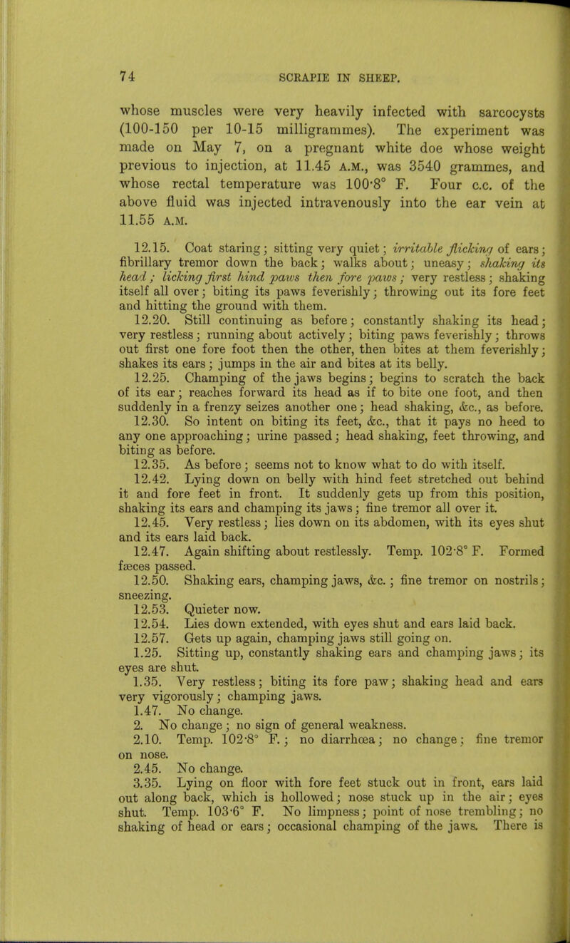 whose muscles were very heavily infected with sarcocysts (100-150 per 10-15 milligrammes). The experiment was made on May 7, on a pregnant white doe whose weight previous to injection, at 11.45 a.m., was 3540 grammes, and whose rectal temperature was 100'8° F. Four c.c. of the above fluid was injected intravenously into the ear vein at 11.55 A.M. 12.15. Coat staring; sitting very quiet; irritable Jiicking oi ears; fibrillary tremor down the back; walks about; uneasy; shaking its head ; liclcing first hind paws then fore paws ; very restless; shaking itself all over; biting its paws feverishly; throwing out its fore feet and hitting the ground with them. 12.20. Still continuing as before; constantly shaking its head; very restless; running about actively; biting paws feverishly; throws out first one fore foot then the other, then bites at them feverishly; shakes its ears; jumps in the air and bites at its belly. 12.25. Champing of the jaws begins; begins to scratch the back of its ear; reaches forward its head as if to bite one foot, and then suddenly in a frenzy seizes another one; head shaking, (fee, as before. 12.30. So intent on biting its feet, &c., that it pays no heed to any one approaching; urine passed; head shaking, feet throwing, and biting as before. 12,35. As before; seems not to know what to do with itself. 12.42. Lying down on belly with hind feet stretched out behind it and fore feet in front. It suddenly gets up from this position, shaking its ears and champing its jaws; fine tremor all over it. 12.45. Very restless; lies down on its abdomen, with its eyes shut and its ears laid back. 12.47. Again shifting about restlessly. Temp. 1028° F. Formed faeces passed. 12.50. Shaking ears, champing jaws, &c.; fine tremor on nostrils; sneezing. 12.53. Quieter now. 12.54. Lies down extended, with eyes shut and ears laid back. 12.57. Gets up again, champing jaws still going on. 1.25. Sitting up, constantly shaking ears and champing jaws; its eyes are shut. 1.35. Very restless; biting its fore paw; shaking head and ears very vigorously; champing jaws. 1.47. No change. 2. No change ; no sign of general weakness. 2.10. Temp. 102-8° F. ; no diarrhoea; no change; fine tremor on nose. 2.45. No change. 3.35. Lying on floor with fore feet stuck out in front, ears laid out along back, which is hollowed; nose stuck up in the air; eyes shut. Temp. 103'6° F. No limpness; point of nose trembling; no shaking of head or ears; occasional champing of the jaws. There is