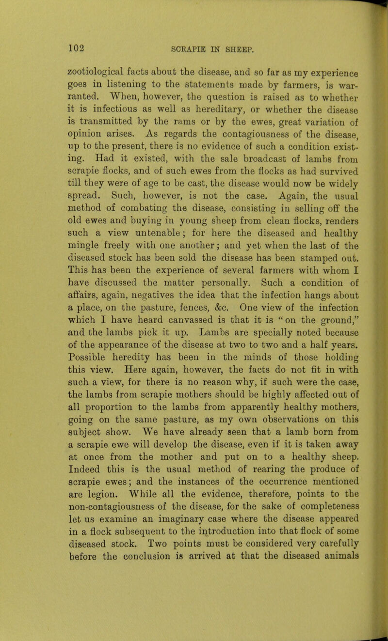 zootiological facts about the disease, and so far as my experience goes in listening to the statements made by farmers, is war- ranted. When, however, the question is raised as to whether it is infectious as well as hereditary, or whether the disease is transmitted by the rams or by the ewes, great variation of opinion arises. As regards the contagiousness of the disease, up to the present, there is no evidence of such a condition exist- ing. Had it existed, with the sale broadcast of lambs from scrapie flocks, and of such ewes from the flocks as had survived till they were of age to be cast, the disease would now be widely spread. Such, however, is not the case. Again, the usual method of combating the disease, consisting in selling off the old ewes and buying in young sheep from clean flocks, renders such a view untenable; for here the diseased and healthy mingle freely with one another; and yet when the last of the diseased stock has been sold the disease has been stamped out. This has been the experience of several farmers with whom I have discussed the matter personally. Such a condition of affairs, again, negatives the idea that the infection hangs about a place, on the pasture, fences, &c. One view of the infection which I have heard canvassed is that it is  on the ground, and the lambs pick it up. Lambs are specially noted because of the appearance of the disease at two to two and a half years. Possible heredity has been in the minds of those holding this view. Here again, however, the facts do not fit in with such a view, for there is no reason why, if such were the case, the lambs from scrapie mothers should be highly affected out of all proportion to the lambs from apparently healthy mothers, going on the same pasture, as my own observations on this subject show. We have already seen that a lamb born from a scrapie ewe will develop the disease, even if it is taken away at once from the mother and put on to a healthy sheep. Indeed this is the usual method of rearing the produce of scrapie ewes; and the instances of the occurrence mentioned are legion. While all the evidence, therefore, points to the non-contagiousness of the disease, for the sake of completeness let us examine an imaginary case where the disease appeared in a flock subsequent to the introduction into that flock of some diseased stock. Two points must be considered very carefully before the conclusion is arrived at that the diseased animals