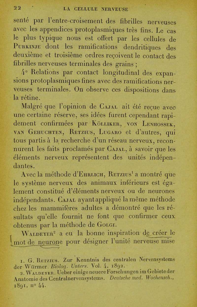 sente par rentre-croisement des fibrilles nerveuses avec les appendices proloplasmiques tres fins. Le cas le plus typique nous est offert par les cellules de PuRKiNjE dont les ramifications dendritiques des deuxieme et troisieme ordres regoivent le contact des fibrilles nerveuses terminales des grains ; 4° Relations par contact longitudinal des expan- sions protoplasmiques fines avec des ramifications ner- veuses terminales. On observe ces dispositions dan& la retine. Malgre que I'opinion de Gajal ait ete regue avec une certaine reserve, ses iciees furent cependant rapi- dement confirmees par Kolliker, von Lenhossek, VAN Gehuchten, Retzius, Lugaro et d'autres, qui tous partis a la recherche d'un reseau nerveux, recon- nurent les faits proclames par Gajal, a savoir que les elements nerveux representent des unites indepen- dantes. Avec la methode d'EnRLiCH, Retzius'a montre que le systeme nerveux des animaux inferieurs est ega- lement constitue d'elements nerveux ou de neurones independants. Gajal ayant applique la meme methode chez les mammiferes adultes a demontre que les re- sultats qu'elle fournit ne font que confirmer ceux obtenus par la methode de Golgi. Waldeyer- a eu la bonne inspiration d^jcreer le mot de neurone pour designer I'unite nerveuse mise 1. G. Retzius. Zur Kenntnis des centralen Nervensystems der Warmer. Biolog. Unters. Vol. /i, 1892. 2. Waldeyer. Ucber einige neuere Forschungcn im Gcbieleder Anatomie des Centralnervcnsystems. Deutsche ined. Wocliensch., 1891, n'^ 44.