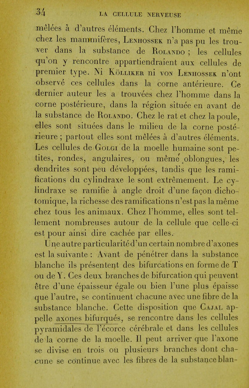 3/1 melees a d'autres elements. Chez Thomme et meme chez les mammiferes, Leniiossek n'a pas pu les trou- per dans la substance de Rolando ; les cellules qu'on y rencontre appartiendraient aux cellules de premier type. Ni Kolliker ni von Lenhossek n'ont observe ces cellules dans la corne anterieure. Ce dernier auteur les a trouvees chez Phomme dans la corne posterieure, dans la region situee en avant de la substance de Rolando. Chez le rat et chez lapoule, elles sont situees dans le milieu de la corne poste- rieure ; par tout elles sont melees a d'autres elements. Les cellules de Golgi de la moelle humaine sont pe- tites, rondes, angulaires, ou meme oblongues, les dendrites sont peu developpees, tandis que les rami- fications du cylindraxe le sont extremement. Le cy- lindraxe se ramifie a angle droit d'une fagon dicho- tomique, la richesse des ramifications n'est pas la meme chez tons les animaux. Chez Fhomme, elles sont tel- lement nombreuses autour de la cellule que celle-ci est pour ainsi dire cachee par elles. Une autre particularityd'un certain nombre d'axones est la suivante : Avant de penetrer dans la substance blanche ils presentent des bifurcations en forme de T ou de Y. Ces deux br^inches de bifurcation qui peuvent etre d'une epaisseur egale ou bien I'une plus epaisse que I'autre, se continuent chacune avec une fibre de la substance blanche. Cette disposition que Cajal ap- pelle axones bifurques, se rencontre dans les cellules pyramidales de I'ecorce cerebrale et dans les cellules de la corne de la moelle. II pent arrivcr que I'axone se divise en trois ou plusicurs branches dont cha- cune se continue avec les fibres de la substaqceblan-