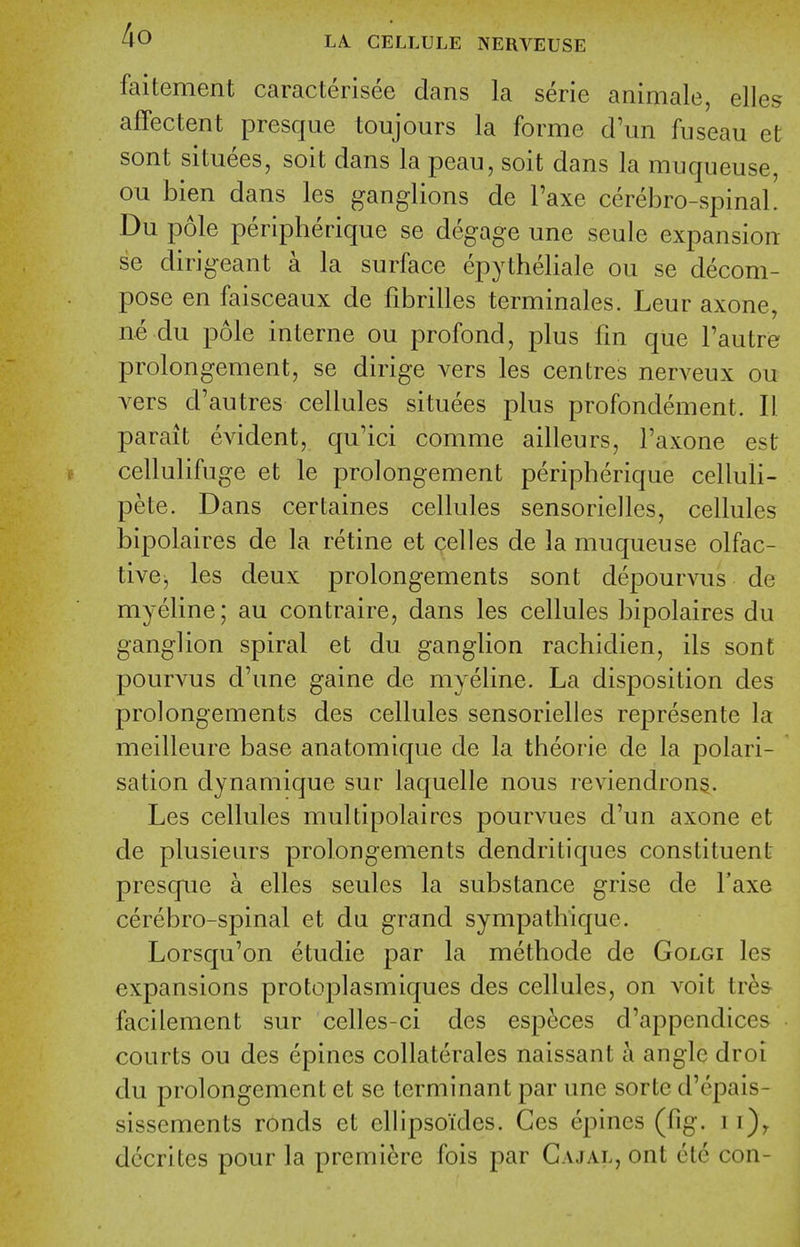 faitement caracterisee dans la serie animale, elles affectent presque toujours la forme d'un fuseau et sont situees, soit dans la peau, soit dans la muqueuse, ou bien dans les ganglions de I'axe cerebro-spinal. Du pole peripherique se degage une seule expansion se dirigeant a la surface epytheliale ou se decom- pose en faisceaux de fibrilles terminales. Leur axone, ne du pole interne ou profond, plus fm que I'autre prolongement, se dirige vers les centres nerveux ou vers d'autres cellules situees plus profondement. II parait evident, qu'ici comme ailleurs, I'axone est cellulifuge et le prolongement peripherique celluli- pete. Dans certaines cellules sensorielles, cellules bipolaires de la retine et celles de la muqueuse olfac- tive, les deux prolongements sont depourvus de myeline; au contraire, dans les cellules bipolaires du ganglion spiral et du ganglion rachidien, ils sont pourvus d'une gaine de myeline. La disposition des prolongements des cellules sensorielles represente la meilleure base anatomique de la theorie de la polari- sation dynamique sur laquelle nous reviendrons. Les cellules multipolaires pourvues d'un axone et de plusieurs prolongements dendritiques constituent presque a elles seules la substance grise de I'axe cerebro-spinal et du grand sympathique. Lorsqu'on etudie par la metbode de Golgi les expansions protoplasmiques des cellules, on voit tres- facilement sur celles-ci des especes d'appendices courts ou des epines collaterales naissant a angle droi du prolongement et se terminant par une sorte d'epais- sissements ronds et ellipsoides. Ges epines (fig. i i)^ dccrites pour la premiere fois par Gajal, ont etc con-