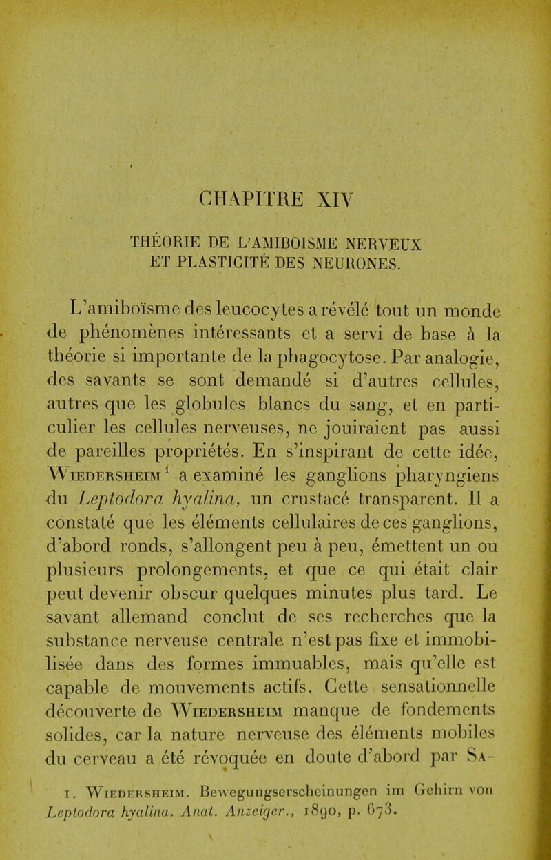 CHAPITRE XIV THEORIE DE L'AMIBOISME NERVEUX ET PLASTIGITE DES NEURONES. L'amiboisme des leucocytes a revele tout un mondc de phenomenes interessants et a servi de base a la theorie si importante de la phagocytose. Par analogic, des savants se sont demande si d'autres cellules, autres que les globules blancs du sang, et en parti- culier les cellules nerveuses, ne jouiraient pas aussi de pareilles proprietes. En s'inspirant de cette idee, WiEDERSHEiM * a examine les ganglions pharyngiens du Leptodora hyalina, un crustace transparent. II a constate que les elements cellulaires deces ganglions, d'abord ronds, s'allongent peu a peu, emettent un ou plusieurs prolongements, et que ce qui etait clair pent devenir obscur quelques minutes plus tard. Le savant allemand conclut de ses recherches que la substance nerveuse centrale n'est pas fixe et immobi- lisee dans des formes immuables, mais qu'elle est capable de mouvements actifs. Cette sensationncllc decouverte de Wiedersheim manque de fondements solides, car la nature nerveuse des elements mobiles du cerveau a ete revoquee en doute d'abord par Sa- I. Wiedersheim. Bewcgungserschcinungen im Gehirn von Leptodora hyalina. Aiiat. Anzeiger., 1890, p. 678.