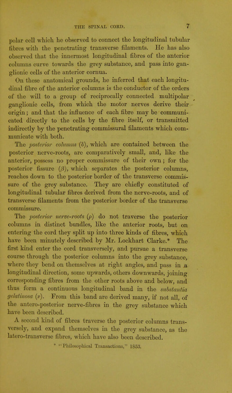 polar cell whicli he observed to connect the longitudinal tubular fibres with the penetrating transverse filaments. He has also observed that the innermost longitudinal fibres of the anterior columns curve towards the grey substance, and pass into gan- glionic cells of the anterior cornua. On these anatomical grounds, he inferred that each longitu- dinal fibre of the anterior columns is the conductor of the orders of the will to a group of reciprocally connected multipolar ganglionic cells, from which the motor nerves derive their origin; and that the influence of each fibre may be communi- cated directly to the cells by the fibre itself, or transmitted indirectly by the penetrating commissural filaments which com- municate with both. The posterior columns (h), which are contained between the posterior nerve-roots, are comparatively small, and, like the anterior, possess no proper commissure of their own ; for the posterior fissure {fi), which separates the posterior columns, reaches down to the posterior border of the transverse commis- sure of the grey substance. They are chiefly constituted of longitudinal tubular fibres derived from the nerve-roots, and of transverse filaments from the posterior border of the transverse commissure. The 2^osterior nerve-roots (p) do not traverse the posterior columns in distinct bundles, like the anterior roots, but on entering the cord they split up into three kinds of fibres, which have been minutely described by Mr. Lockhart Clarke.* The first kind enter the cord transversely, and piu'sue a transverse course through the posterior columns into the grey substance, where they bend on themselves at right angles, and pass in .a longitudinal direction, some upwards, others downwards, joining corresponding fibres from the other roots above and below, and thus form a continuous longitudinal band in the substantia fjelatinosa {v). From this band are derived many, if not all, of the antero-posterior nerve-fibres in the grey substance which have been described. A second kind of fibres traverse the posterior columns trans- versely, and expand themselves in the grey substance, as the latero-transverse fibres, which have also been described. * Philosophical Transactions, 1853.