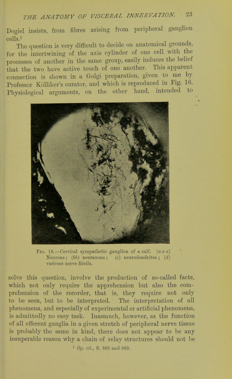 Docriel insists, from fibres arising from peripheral ganglion cells.^ The question is very difficult to decide on anatomical grounds, for the intertwining of the axis cylinder of one cell with the processes of another in the same group, easily induces the belief that the two have active touch of one another. This apparent connection is shown in a Golgi preparation, given to me by Professor Kolliker's curator, and which is reproduced in Fig. 16. Physiological arguments, on the other hand, intended to Fig. 16.—Cervical sympathetic ganglion of a calf, {a a a) Neurons ; (hb) neuraxons ; (c) neurodendrites ; (d) varicose nerve fibrils. solve this question, involve the production of so-called facts, which not only require the apprehension but also the com- prehension of the recorder, that is, they require not only to be seen, but to be interpreted. The interpretation of all phenomena, and especially of experimental or artificial phenomena, is admittedly no easy task. Inasmuch, however, as the function of all efferent ganglia in a given stretch of peripheral nerve tissue is probably the same in kind, there does not appear to be any insuperable reason why a chain of relay structures should not be 1 Oj). ext., S. 868 and 869.