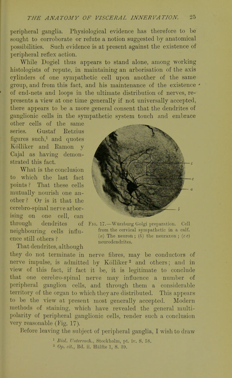 peripheral ganglia. Physiological evidence has therefore to be sought to corroborate or refute a notion suggested by anatomical possibilities. Such evidence is at present against the existence of peripheral reflex action. While Dogiel thus appears to stand alone, among working histologists of repute, in maintaining an arborisation of the axis cylinders of one sympathetic cell upon another of the same group, and from this fact, and his maintenance of the existence ' of end-nets and loops in the ultimate distribution of nerves, re- presents a view at one time generally if not miiversally accepted, there appears to be a more general consent that the dendrites of ganglionic cells in the sympathetic system touch and embrace other cells of the same series. Gustaf Eetzius figures such,^ and quotes Kolliker and Eamon y Cajal as having demon- strated this fact. What is the conclusion to which the last fact points ? That these cells mutually nourish one an- other? Or is it that the cerebro-spinal nerve arbor- ising on one cell, can through dendrites of neighbouring cells influ- ence still others ? That dendrites, although they do not terminate in nerve fibres, may be conductors of nerve impulse, is admitted by Kolliker ^ and others; and in view of this fact, if fact it be, it is legitimate to conclude that one cerebro-spinal nerve may influence a number of peripheral ganglion cells, and through them a considerable territory of the organ to which they are distributed. This appears to be tlie view at present most generally accepted. Modern methods of staining, which liave revealed the general multi- polarity of peripheral ganglionic cells, render such a conclusion very reasonable (Fig. 17). Before leaving the subject of peripheral ganglia, I wish to draw ^ liiol. Untersuch., Stockholm, pt. iv. S. 58. 2 Oih ciL, Bd. ii. Hiilfte 1, S. 39. Fig. 17.—Witrzburg Gulgi preparation. Cell from the cervical sympathetic in a calf. {a) The nenron ; (6) the neuraxon ; (c c) neurodendrites.