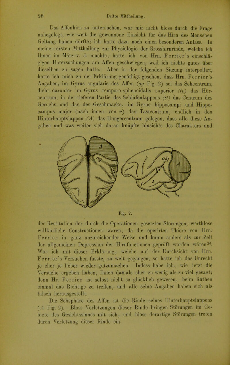 Das Adeiihirn zu untersuchen, war rair iiicht bioss durch die Frage nahogelegt, wic weit die gewonneiie Einsicht fiir das Hirn des Menschen Geltung habcn diirftc; ich hatte dazu noch einen besonderen Anlass. In meinci- erstcn Mittheilung zur Physiologie der Grosshirnrinde, welche ich ihnen im Marz v. -). machte, hatte ich von Hrn. Ferrier's einschla- gigen Untersuchungen am Affen geschwiegen, weil ich nichts gutes iiber dieselben zu sagen hatte. Aber in der folgendcn Sitzung interpellirt, hatte ich mich zu der PJrklarung genothigt gesehen, dass Hrn. Ferrier's Angaben, ira Gyrus angularis des Affen (ag Fig. 2) sei das Sehcentrum, dicht darunter im Gyrus teraporo-sphenoidalis superior (fp) das Hor- centrum, in der tieferen Partie des Schlafenlappens (tt) das Centrum des Geruchs und das des Geschmacks, im Gyrus hippocampi und Hippo- campus major (nach innen von u) das Tastcentrum, endlich in den Hinterhauptslappen (A) das Hungercentrura gelegen, dass alle diese An- gaben und was weiter sich daran kniipfte hinsichts des Charakters und Fig. 2. dei- Restitution der durch die Operationen gesetzten Storungen, werthlosc wilikiirliche Constructionen waren, da die operirten Thiere von Hrn. Ferrier in ganz unzureichender Weise und kaum anders als zur Zeit der alJgemeinen Depression der Hirnfunctionen gepriift worden waren2. War ich mit dieser Erklarung, welche auf der Durchsicht von Hrn. Ferrier's Versuchen fusste, zu weit gegangen, so hatte ich das Unrecht je eher je lieber wieder gutzumachen. Indess habe ich, wie jetzt die Versuche ergeben haben, Ihnen damals eher zu wenig als zu viel gesagt; denn Hr. Ferrier ist selbst nicht so gliicklich gewesen, beim Rathen cinmal das Richtige zu treffen, und alle seine Angaben haben sich als falsch herausgestellt. Die Sehsphare des Affen ist die Rinde seines llintcihauptslappens (/I Fig. 2). Bloss Vei-lctzungcn dieser Rinde bringen Storungen im Ge- biete des Gesichtssinnes mit sich, und bloss derartige Storungen treten durch Verletzung dieser Rinde ein.