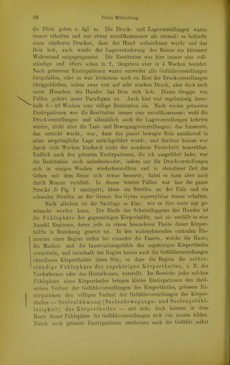 die Pfote gobon u. dgi. m. Die Druck- und. Lagcvorsteliungcn wareti immer erhalten und nur ctwas imvoilkommener als normal: es bcdurftc cines starkeren Druckes, dass der Hund aufmerksam wurde und das Bein hob, auch wurde der Lageveranderung des Beines ein kleinerer Widerstand entgegengesetzt. Die Restitution war hier immer eine voll- stiindige und ofters schon in 2, langsteiis aber in 4 Wochen bcendct. Nach grosseren Exstirpationen waren entweder alle Gefiihlsvorstellungcn fortgefallen, oder es war hochstens noch ein Rest der Druckvorstcllungen iibriggeblieben, indem zwar erst auf sehr starken Druck, aber doch noch unter Hinsehen des Hundes das Bein sich hob. Dieser Gruppe von Fallen gehort unser Paradigma an. Auch hier trat regelmassig inner- halb 6—10 Wochen eine vollige Restitution ein. Nach wieder grosseren Exstirpationen war die Restitution immer eine unvoUkommene: wohl die Druckvorstcllungen und allraahlich auch die Lagevorstellungen kehrtcn wieder, nicht aber die Tast- und Bewegungsvorstellungen; das Ausserste, das erreicht wurde, war, dass das passiv bewegte Bein annahernd in seine urspriingliche Lage zuriickgefiihrt wurde, und dariibcr hinaus war durch viele Wochen hindurch nicht der mindeste Fortschritt bemerkbar. Endlich nach den grossten Exstirpationen, die ich ausgefiihrt habe, war die Restitution noch unbedeutender, indem nur die Druckvorstcllungen sich in einigen Wochen wiederherstellten und in ebendieser Zeit das Gehen mit dem Beine sich etwas besserte, dabei es dann aber auch durch Monate verblieb. In diesen letzten Fallen war fast die ganzc Strecke D Fig. 1 exstirpirt; bloss ein Streifen an der Falx und ein schmaler Streifen an der Grenze des Gyrus supersylvius waren erhalten. Nach alledem ist die Sachlage so klar, wie es fiirs erste nur ge- wiinscht werden kann. Die Rinde des Scheitellappens des Hundes ist die Fiihlsphare der gegenseitigen Korperhalfte, und sie zerfallt in eine Anzahl Regionen, deren jede zu cinem besonderen Theile dieser Korper- halfte in Beziehung gesetzt ist. In den wahrnehmenden centralen Ele- menten einer Region enden bei einander die Fasern, welche die Haut-, die Muskel- und die Innervationsgcfiihle des zugehorigen Korpertheiles vermitteln, und innerhalb der Region haben auch die Gefiihlsvorstellungcn cbendieses Korpertheiles ihren Sitz, so dass die Region die selbst- standige Fiihlsphare des zugehorigen Korpertheiles, z. B. des Vorderbeines oder des Hinterbeines, vorstellt. Im Bereiche jeder solchen Fuhlsphiirc cines Korpertheiles bringen kleine Exstirpationen den thcil- weisen Verlust der Gefiihlsvorstellungen des Korpertheiles, grossere Ex- stirpationen den volligen Verlust der Gefiihlsvorstellungcn des Korper- theiles — Seelenlahmung (Seelenbcwegungs- und Seclengefiihl- losigkeit) des Korpertheiles — rait sich; doch konnen in dem Reste dieser Fiih Isphare die Gefiihlsvorstellungen sich von neuem bilden. Durch noch grossere Exstirpationen crschoincn auch die Gcfiihle selbst