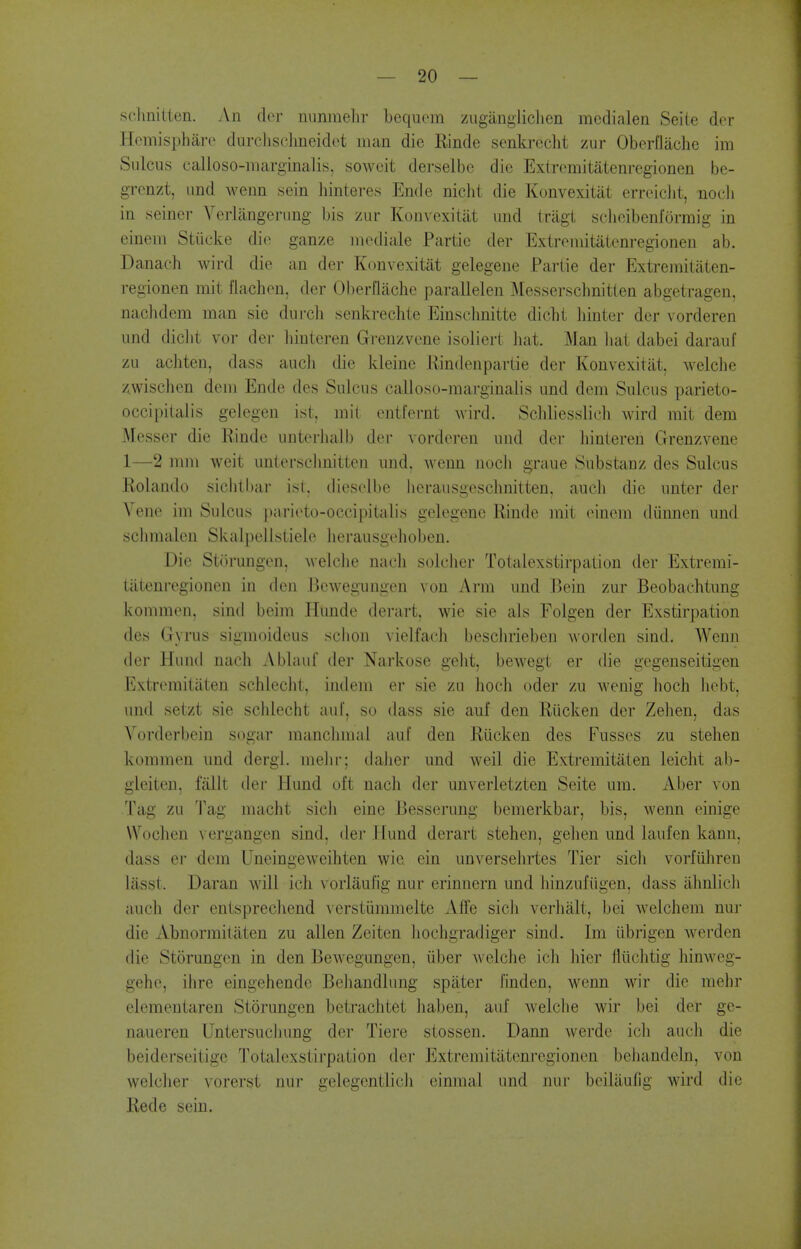 schnilten. An cl(>r nuninehr bequcm ziigiingliclien mcdialen Seiie der Hemispharc durclisclmeidet man die Rindc senla-ccht zur OberfJaclie im Sulcus calloso-marginalis, soweit derselbe die Extremitatenregionen be- grcnzt, und wenn sein hinteres Ende nicht die Konvexitat errciclit, nocli in seiner Verlangerung bis zur Konvexitat und tragi sclieibenformig in eineui Stiicke die ganze mediate Partic der Extremitatenregionen ab. Danach wird die an der Konvexitat gelegene Partie der Extremitaten- regionen mit flachen, der Oberflache parallelen ^lesserschnitten abgetragen, naclidem man sie dui-ch senkrechte Einschnitte dicbt binter der vorderen und diclit vor der liinteren Grenzvene isoliert liat. Man liat dabei darauf zu achten, dass aucb die kleine Rindenpartie der Konvexitat. welcbe zwischen dem Ende des Sulcus calloso-marginalis und dem Sulcus parieto- occipilalis gelegen ist, mit entt'ernt wird. Scliliesslicb wird mit dem Messer die Rinde uiiterliall) der vorderen und der liinteren Grenzvene 1—2 mm weit unterschnitten und. wenn nocli graue Substanz des Sulcus Rolando siclithar isl. dieselbe herausgescbnitten. aucb die unter der Vene im Sulcus parieto-occipitalis gelegene Rinde mit einem diinnen und scbmaleu Skalpellstiele lierausgeboben. Die Storungen, welclie nacli solcber Totalexstirpation der Extremi- tatenregionen in den Bewegungen von Arm und Bein zur Beobachtung kommen, sind beim Hunde derart. wie sie als Folgen der Exstirpation des Gyrus sigmoideus schon vielfach besclirieben Avorden sind. Wenn der Hund nacb Ablauf der Narkose gebt, bewegt er die gegenseitigen Extremitiiten schleclit, indem er sie zu bocb oder zu wenig boch liebt, und setzt sie schlecht auf, so dass sie auf den Riicken der Zelien, das Yorderbein sogar manclimal aul den Riicken des Fusses zu stehen kommen und dergl. melii*; tIaJier und weil die Extremitaten leiclit ab- gleiten, fiillt der Hund oft nacli der unverletzten Seite um. Aber von Tag zu Tag macht sieb eine Besserung bemerkbar, bis, wenn einige Woclien vergangen sind. dei ITund derart stehen, geben und laufen kann. dass er dem Uneingeweihten wie ein unversebrtes Tier sicli vorfiiliren lasst. Daran will ich vorlaufig nur erinnern und iiinzufiigen, dass almlicli audi der entsprecliend \erstummelte Affe sicb verbiilt, bei welchem nuj- die Abnormitaten zu alien Zeiten liocligradiger sind. Im iibrigen werden die Storungen in den Bewegungen, iiber welche ich bier iliiclitig hinweg- gehe, ilire eingehende Beliandlung spiiter I'inden, wenn wir die mehr elementaren Storungen betrachtet liaben, auf welche wir bei der ge- naueren Untersuchung der Tiere stossen. Dann Averde icb audi die beiderseitige Totalexstirpation der Extremitatenregionen behandeln, von welcher A^orerst nur gelegcntlidi einmal und nur bciliiulig Avird die Rede sein.