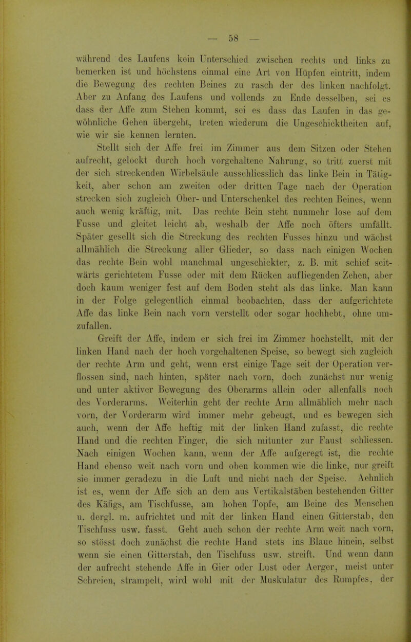 wjilircnd des Laufcus kein Unterscliicd zwischen rcclits und links /u beraerken ist und hochstens einmal eine Art von Hiipfcn eintritt, indcm die Bewegung des recliten Beines zu rasch der des linken nachfolgt. Aber zu Anfang des Laufens und vollends zu Ende desselben, sei es dass der Affe zum Stehen kommt, sei es dass das Laufen in das ge- wolinliche Gehen iibergeht, treten wiederum die Ungeschicktlieiten auf, wie wir sie kennen lernten. Stellt sich der Affe frei im Zimmer aus dem Sitzcn oder Stehen aufrecht, gelockt durch liocli vorgehaltene Nahrung, so tritt zucrst mit der sich streckenden AVirbelsaule ausscliliesslicli das linke Bein in Tatig- keit, aber schon am zweiten oder dritten Tage nach der Operation strecken sich zugleich Ober- und Unterschenkel des rechten Beines, wcnn auch wenig kraftig, mit. Das reclite Bein steht nunmelir lose auf dem Fusse und gleitet leicht ab, weshalb der Affe nocli ofters umfallt. Spater gesellt sich die Streckung des rechten Fusses hinzu und wachst allmiihlich die Streckung aller Gliedcj-, so dass nach einigen Wochen das reclite Bein wohl manchmal ungeschickter, z. B. mit schief seit- warts gerichtctem Fusse oder mit dem Riickcn auflicgenden Zehen, aber doch kaum weniger fest auf dem Boden steht als das linke. Man kann in der Folge gelegentlich einmal beobachten, dass der aufgerichtete Affe das linke Bein nach vorn vorstellt oder sogar hochhebt, ohne um- zu fallen. Grcift der Affe, indem er sich frei im Zimmer hochstellt, mit der linken Hand nach der hoch vorgehaltenen Speise, so bewegt sich zugleich der reclite Arm und geht, wenn erst einige Tage seit der Operation ver- flossen sind, nach hinten, spater nach vorn, doch zuniichst nur wenig und unter aktiver Bewegung des Oberarms allein oder allenfalls noch des Vorderarms. Weiterhin geht der rechte Arm allmalilich mehr nach vorn, der Vorderarni wird immer mehr gebeugt, und es bewegen sich auch, wenn der Affe lief tig mit der linken Hand zufasst, die rechte Hand und die rechten Finger, die sich mitunter zur Faust scliliessen. Nach einigen AVoclien kann, wenn der Affe aufgeregi ist, die rechte Hand ebenso weit nach vorn und oben kommen wie die linke, nur greift sie immer geradezu in die Luft und niclit nach der Speise. Aehnlich ist es, wenn der Affe sich an dem aus Vertikalstaben bestelienden Gitter des Kafigs, am Tischfusse, am hohen Topfe, am Beine des Menschen u. dergl. m. aufriclitet und mit der linken Hand einen Gitterstab, den Tischfuss usw. fasst. Geht auch schon der rechte Arm weit nach vorn, so stosst doch zunachst die rechte Hand stets ins Blaue hinein, selbst wenn sie einen Gitterstab, den Tischfuss usw. streift. Und wenn daim der aufrecht stehende Affe in Gier oder Lust oder Aerger, meist unter Schreien, strampelt, wii'd wohl mit der Miiskiilatur des Rumpfes. der