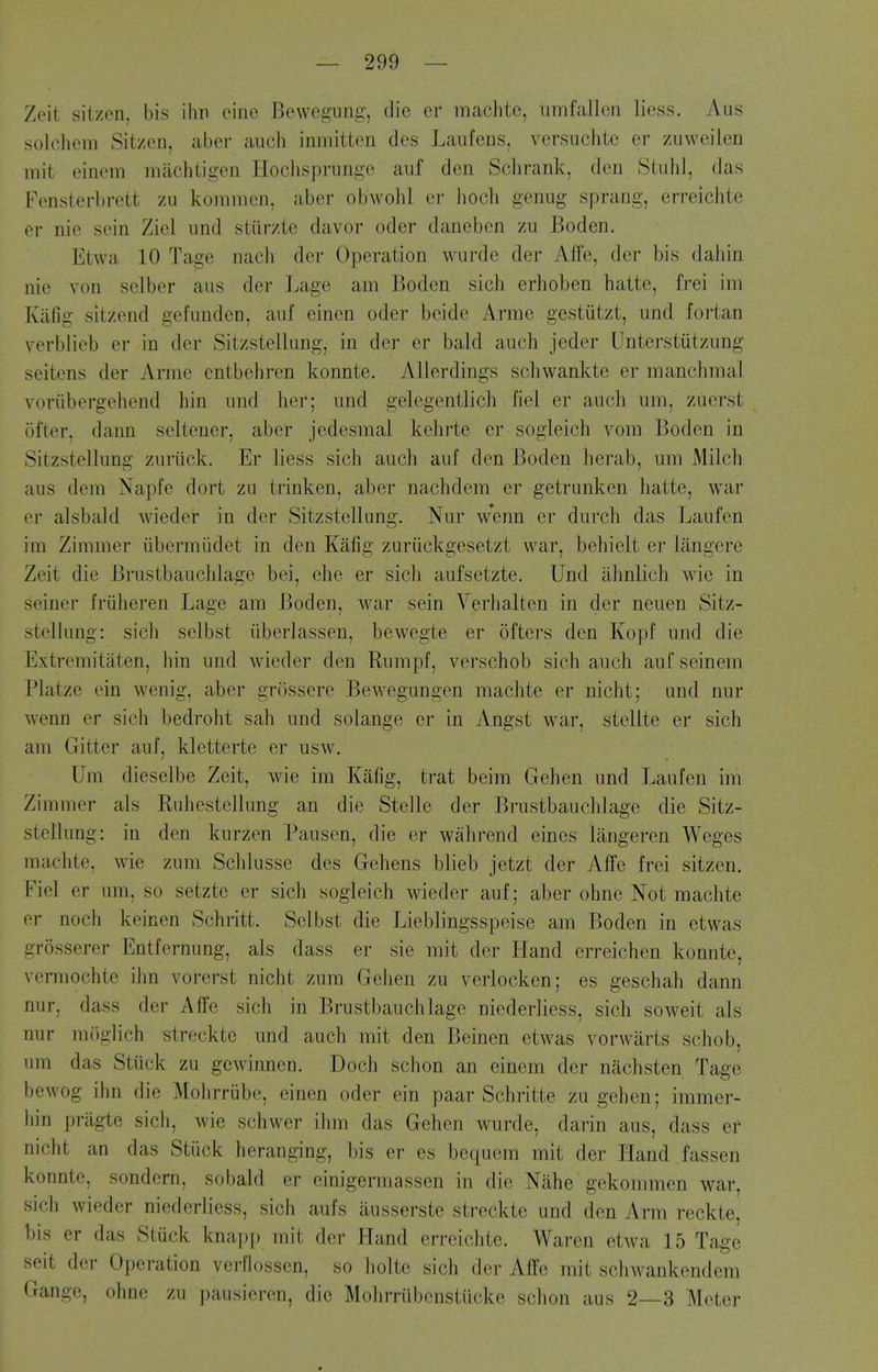 Zeit siizen, bis ilm cine Bewegung, die cr maclite, iimfallori liess. Aus solclicm Sitzen, aber aiich inmitten des Laufens, versuchte er zuweilen iTiit einom machtio-eii Iloclispriinge auf den Sclirank, den Stuhl, das Fensterbrett zu koinnien, aber obwolil er Jiocli genug sprang, erreichte or nie sein Ziel imd stiirzie davor oder daneben zu Boden. Etwa 10 Tage nach der Operation wurdc der Affe, dcr bis dahin nie von selber aus der Lage am Boden sich erhoben hatte, frei im Iviifig sitzend gefimden, auf eincn oder beide Arme gestiitzt, und fortan verblieb er in der Sitzstelking, in der er bald auch jeder Unterstiitzung seitens der Anne entbehren konnte. Allerdings schwankte er manchmal voriibergeliend bin und ber; und gelegentlicb fiel er aucb urn, zuorst ofter, dami seltener, aber jedesmal kebrte er sogleich vom Boden in Sitzstelking zuriick. Er liess sich aucb auf den Boden herab, um Milcb aus dera Napfe dort zu trinken, aber nachdem er getrunken batte, war er alsbald wieder in der Sitzstellung. Nur wenn er durch das Laufen im Zimmer iibermiidet in den Kafig zuriickgesetzt war, bebielt er langere Zeit die Brastbaucblage bei, ehe er sicb aufsetzte. Und almlich wie in seiner friiheren Lage am Boden, war sein Verbalten in der neuen Sitz- stellung: sich selbst iiberlassen, bewegte er oftcrs den Kopf und die Extreraitaten, bin und wieder den Rumpf, verschob sicb auch aufseinem Platze ein wenig, aber grossere Bewegungen machte er nicht; imd nur wenn er sich bedroht sah und solange er in Angst war, stellte er sich am Gitter auf, kletterte er usw. Um dieselbe Zeit, wie im Kiifig, trat beim Gehen und Laufen im Zimmer als Ruhestellung an die Stelle der Brustbauclilage die Sitz- stellung: in den kurzen Pausen, die er wahrend eines langeren Weges machte, wie zum Schlusse des Gehens blieb jetzt der Affe frei sitzen. Fiel er um, so setzte er sich sogleich wieder auf; aber ohne Not machte er noch keinen Schritt. Selbst die Lieblingsspeise am Boden in etwas grosserer Entfernung, als dass er sie mit der Hand erreichen konnte, vermochte ibn vorerst nicht zum Gelien zu verlocken; es geschah dann Affe sich in Brustbauchlage niederliess, sich soweit als nur uKiglich streckte und auch mit den Beinen etwas vorwarts schob, um das Stiick zu gcwinnen. Doch schon an einem der niichsten Tage bewog ihn die Molirriibe, einen oder ein paar Schritte zu gehen; immer- liin pragte sich, wie schwer ihm das Gehen wurde, darin aus, dass er nicht an das Stiick heranging, bis er es bequem mit der Hand fassen konnte, sondcrn, sobald er einigermassen in die Nahe gekommen war, sich wieder niederliess, sich aufs ausserste streckte und den Arm reckte, bis er das Stiick knapp mit der Hand erreichte. Waren etwa 15 Tage seit der Operation verflossen, so holte sich der A(Te mit schwankendem Gauge, ohne zu pausicren, die Mohrrubenstiicke sciion aus 2—3 Meter