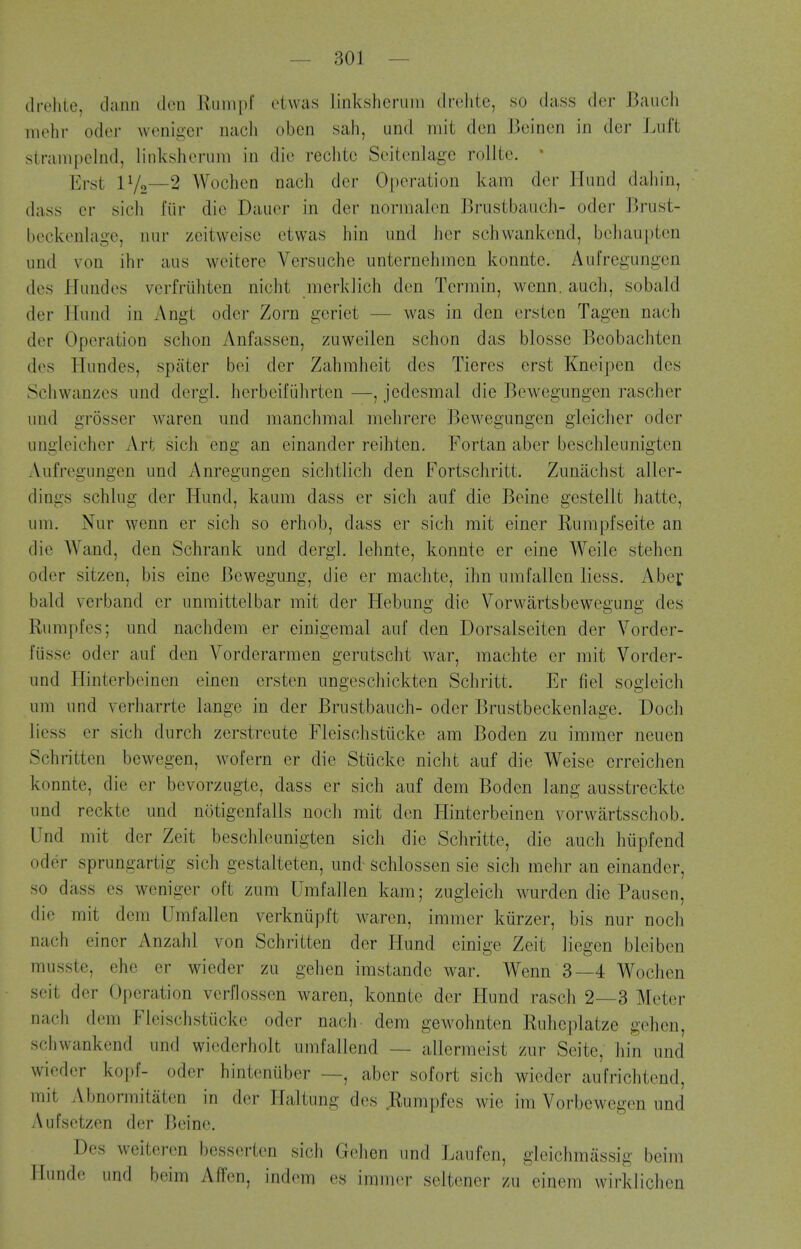 drehie, danii den Ruin[)l' cLwas linkshcrum drelite, so dass der Baiicli mchr Oder wenigei- iiacli oben sah, und mit den Beinen in dcr Lvift stranipclnd, linkisheruni in die reclite Seitcnlagc roUtc. * Erst IV2—2 Wochen nach der Operation kam der Hund daliin, dass cr sicli fiir die Dauer in der nornialen Brustbanch- odor Brust- bcckenlage, nur zeitweise etwas bin und ber scbwankend, beJiaupten imd von ibr aus weitere Versucbe unternebmen konnte. Aiifregungen des Hundcs verfriibten nicbt merklich den Tormin, wenn. auch, sobald der JIund in Angt oder Zorn geriet — was in den ersten Tagen nacb der Operation schon Anfassen, zuweilen scbon das blosse Beobacbten des Hundes, spiiter bei der Zabrabeit des Tieres erst Kneipen des Scbwanzes und dergl. berbeifiibrten —, jedesmal die Bewegungen rascber und grosser Avaren und mancbmal mebrere Bewegungen gleiclier oder ungleicber Art sicb eng an eina.nder reibten. Fortan aber bescbleunigten Aufregungen und Anregungen siclitlicb den Fortscbritt. Zuniicbst allcr- dings schlug der Hund, kaum dass er sicb auf die Beine gestellt batte, um. Nur wenn er sich so erbob, dass er sich mit einer Rumpfseite an die Wand, den Schrank und dergl. lebnte, konnte er eine Weile steben oder sitzen, bis eine Bewegung, die er macbte, ibn umfallen liess. Aber bald Ycrband er unraittelbar mit der Hebung die Vorwartsbewegung des Rumples; und naclidem er einigemal auf den Dorsalseiten der Vorder- fiisse oder auf den Vorderarmen gerutscbt war, macbte er mit Vorder- und Hinterbeinen einen ersten ungescbickten Scbritt. Er fiel sogleicb um und verbarrte lange in der Brustbaucb- oder Brustbeckenlage. Docb liess er sicb durcb zerstreute Fleiscbstiicke am Boden zu immer neuen Scbritten bewegen, wofern er die Stiicke nicbt auf die Weise crreicben konnte, die er bevorzugte, dass er sicb auf dem Boden lang ausstreckte und reckte und notigenfails noch mit den Hinterbeinen vorwartsscbob. Und mit der Zeit bescbleunigten sicb die Schritte, die aucb btipfend oder sprungartig sicb gestalteten, und- schlossen sie sicb mehr an einander, so dass es weniger oft zum Umfallen kam; zugleicb wurden die Pausen, die mit dem Umfallen verkniipft waren, immer kiirzer, bis nur nocli nacb einer Anzabl von Scbritten der Hund einige Zeit liegen bleiben musste, ehe er wieder zu geben imstande war. Wenn 3—4 Wocben seit der Operation verflossen waren, konnte der Hund rascb 2—3 Meter nacli dem Fleiscbstiicke oder nacb dem gewobnten Rubeplatze geben, scbwankend und wiederbolt umfallend — allermeist zur Seite, bin und wieder kopf- oder binteniibcr —, aber sofort sicb wieder aufricbtend, mit Abnormitaten in der Haltung des .Rumpfes wie im Vorbewegen und Aufsetzen der Beine. Des weiteren bess(irten sicb Gelien und Laufen, gleicbmiissig beim Hunde und beim Affen, indem es imni(>r seltener v,\\ einem wirklicben