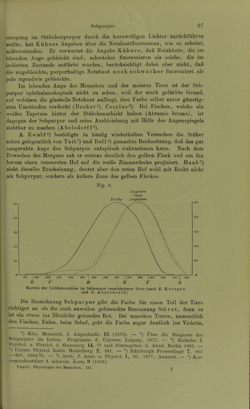 erregung im Stfibchenpurpur durch die kurzwelligen Lichter zuriickfiihren wollte, hat Kuhnes Angaben iiber die Netzkautfluoreszenz, wie es scheint, miCverstanden. Er verwertet die Angabe Kuhnes, daJ3 Netzhiiute, die im lebenden Auge gebleicht sind, schwacher fiuoreszieren als solche, die im isolierten Zustande entfarbt wurden, beriicksichtigt dabei aber nicht, dai3 die ungebleichte, purpurhaltige Netzhaut noch schwacher fluoresziert als jede irgendwie gebleichte. Im lebenden Auge des Menschen und der meisten Tiere ist der Seh- purpur ophthalmoskopisch nicht zu sehen, weil der stark gefarbte Grund, aiif welchem die glashelle Netzhaut aufliegt, ihre Farbe selbst unter giinstig- sten Umstilnden verdeckt (Becker Coccius^). Bei Fischen, welche ein weiCes Tapetum hinter der Stabchenschicht haben (Abramis brama), ist dagegen der Sehpurpur und seine Ausbleichung mit Hilfe des Augenspiegels sichtbar zu machen (Abelsdorf f 3). A. Ewald-*) bestatigte in haufig wiederholten Versuchen die friiher schon gelegentlich von Tait^) und Boll*^) gemachte Beobachtung, daC das gut ausgeruhte Auge den Sehpurpur entoptisch wahrnehmen kann. Nach dem Erwachen des Morgens sah er erstens deutlich den gelben Fleck und um ihn herum einen rosenroten Hof auf die weiCe Zimmerdecke projiziert. Haab^) sieht dieselbe Erscheinung, deutet aber den roten Hof wohl mit Recht nicht als Sehpurpur, sondern als auCere Zone des gelben Fleckes. Fig. 9. Fische Saiitjetlere Vbijel Ainphibien O.Z 700 I MO CBffl ^ Kurven der Lichtabsorption im Sehpurpur verschiedener Tiere (nach E. Kottgen und G. Abelsdorff.) Die Bezeichnung Sehpurpur gibt die Farbe fiir einen Teil der Tiere richtiger an als die auch zuweilen gebrauchte Benennung Sehrot, denn es ist ein etwas ins Blauliche gehendes Rot. Bei manchen Tieren, namentlich den Fischen, Eulen, beim Schaf, geht die Farbe sogar deutlich ins Violette, ') Klin. Monatsbl. f. AugenheUk. 15 (1879). — Uber die Diagnose des Sehpurpurs im Leben. Programm d. Univers. Leipzig, 1877. — Zeitschr. f. Psychol, u. Physiol, d. Sinnesorg. 14, 77 und Sitzungsber. d. Akad. Berlin 1895. — *) Unters. Physiol. Instit. Heidelberg 2, 241. — ^) Edinburgh Proceedings 7, 605 — 607, 1869/70. — ») Arch. f. Anat. u. Physiol. 1, 20, 1877, Anmerk. — ') Kor- respondenzblatt f. schweiz. Arzte 9 (1879). Nagel, Physiologie des Menschen. III. rj