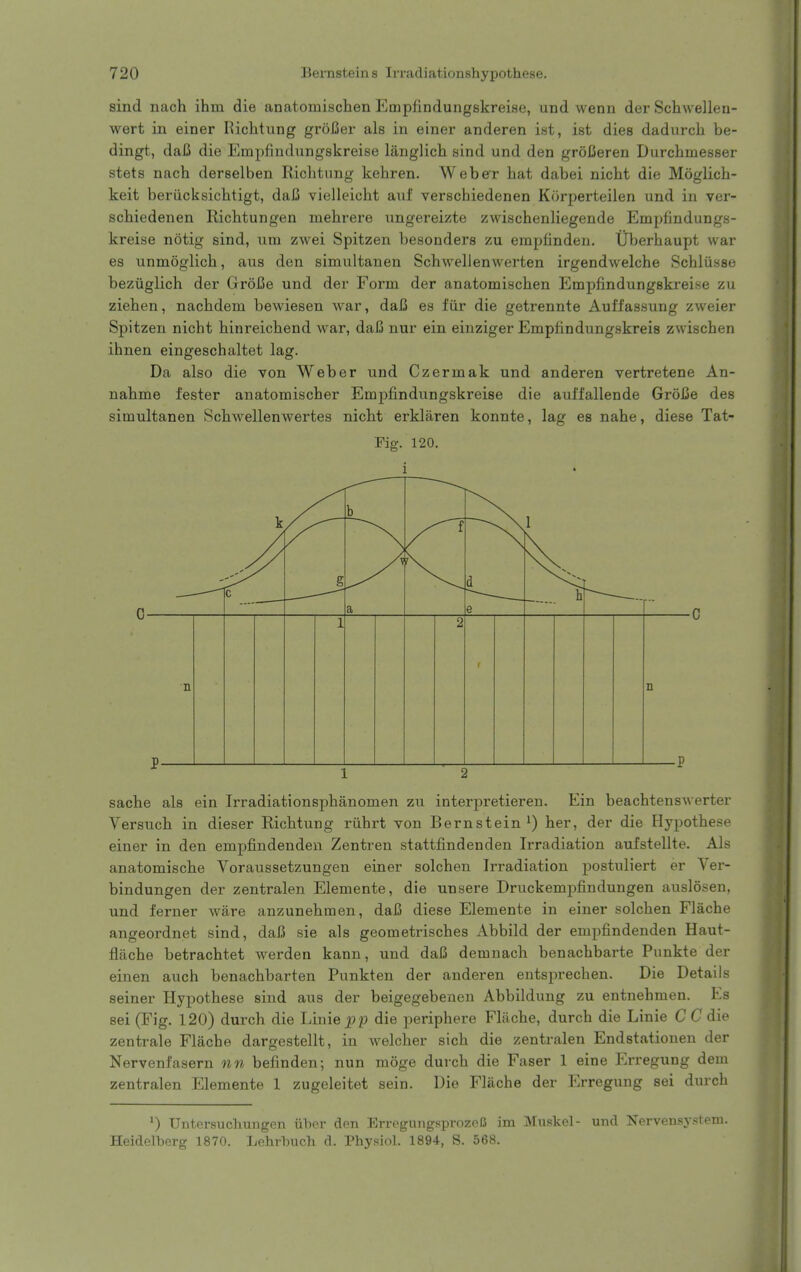 sind nach ihm die anatomischen Empfindungskreise, und wenn der Schwellen- wert in einer Richtung groCer als in einer anderen ist, ist dies dadurck be- dingt, daC die Empfindungskreise langlich sind und den grofieren Durchmesser stets nach derselben Ricbtung kehren. Weber hat dabei nicht die Moglich- keit beriicksichtigt, daC vielleicht auf verschiedenen Korperteilen und in ver- schiedenen Richtungen mehrere ungereizte zwischenliegende Empfindungs- kreise notig sind, um zwei Spitzen besonders zu empfinden. Uberhaupt war es unmoglich, aus den simultanen Schwellenwerten irgendwelche Schlusse bezuglich der GroBe und der Form der anatomischen Empfindungskreise zu Ziehen, nachdem bewiesen war, dafi es fur die getrennte Auffassung zweier Spitzen nicht hinreichend war, dal3 nur ein einziger Empfindungskreis zwischen ihnen eingeschaltet lag. Da also die von Weber und Czermak und anderen vertretene An- nahme fester anatomischer Empfindungskreise die aul'fallende GroCe des simultanen Schwellenwertes nicht erklaren konnte, lag es nahe, diese Tat- Pig. 120. sache als ein Irradiationsphanomen zu interpretieren. Ein beachtenswerter Versuch in dieser Richtung riihrt von Bernstein^) her, der die Ilypothese einer in den empfindenden Zentren stattfindenden Irradiation aufstellte. Als anatomische Voraussetzungen einer solchen Irradiation postuliert er Ver- bindungen der zentralen Elemente, die unsere Druckempfindungen auslosen, und ferner ware anzunehmen, daB diese Elemente in einer solchen Flache angeordnet sind, dafi sie als geometrisches Abbild der empfindenden Haut- flache betrachtet werden kann, und daC demnach benachbarte Punkte der einen auch benachbarten Punkten der anderen entsiirechen. Die Details seiner Hypothese sind aus der beigegebeneu Abbildung zu entnehmen. Es sei (Fig. 120) durch die Linie^p die periphere Fliiche, durch die Linie C C die zentrale Flache dargestellt, in welcher sich die zentralen Endstationen der Nervenfasern nn befinden; nun moge durch die Faser 1 eine Eri'egung dem zentralen Elemente 1 zugeleitet sein. Die Flache der Erregung sei durch Untersu Chun gen iiber den ErregungsprozeB im Muskel- und Nervensystem. Heidelberg 1870. Lehrbuch d. Physiol. 1894, S. 568.