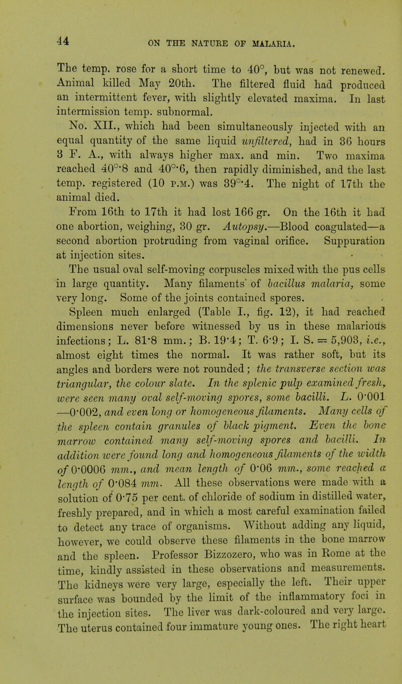 The temp, rose for a short time to 40°, but was not renewed. Animal killed May 20th. The filtered fluid had produced an intermittent fever, with slightly elevated maxima. In last intermission temp, subnormal. No. XII., which had been simultaneously injected with an equal quantity of the same liquid unfiltered, had in 36 hours 3 F. A., with always higher max. and min. Two maxima reached 40°'8 and 40o,6, then rapidly diminished, and the last temp, registered (10 p.m.) was 39°*4. The night of 17th the animal died. From 16th to 17th it had lost 166 gr. On the 16th it had one abortion, weighing, 30 gr. Autopsy.—Blood coagulated—a second abortion protruding from vaginal orifice. Suppuration at injection sites. The usual oval self-moving corpuscles mixed with the pus cells in large quantity. Many filaments' of bacillus malaria, some very long. Some of the joints contained spores. Spleen much enlarged (Table I., fig. 12), it had reached dimensions never before witnessed by us in these malarious- infections; L. 81-8 mm.; B. 19*4; T. 6'9; I. S. = 5,903, i.e., almost eight times the normal. It was rather soft, but its angles and borders were not rounded; the transverse section was triangular, the colour slate. In the splenic pulp examined fresh, were seen many oval self-moving spores, some bacilli. L. 0*001 —0'002, and even long or homogeneous filaments. Many cells of the spleen contain granules of black pigment. Even the bone marrow contained many self-moving spores and bacilli. In addition were found long and homogeneous filaments of the width of 0*0006 mm., and mean length of 0*06 mm., some reached a length of 0*084 mm. All these observations were made with a solution of 0*75 per cent, of chloride of sodium in distilled water, freshly prepared, and in which a most careful examination failed to detect any trace of organisms. Without adding any liquid, however, we could observe these filaments in the bone marrow and the spleen. Professor Bizzozero, who was in Rome at the time, kindly assisted in these observations and measurements. The kidneys were very large, especially the left. Their upper surface was bounded by the limit of the inflammatory foci in the injection sites. The liver was dark-coloured and very large. The uterus contained four immature young ones. The right heart