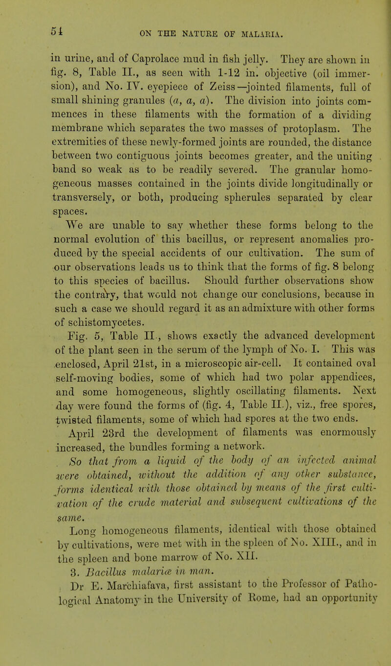 51 in urine, and of Caprolace mud in fish jelly. They are shown in fig. 8, Table II., as seen with 1-12 in. objective (oil immer- sion), and No. IV. eyepiece of Zeiss—jointed filaments, full of small shining granules (a, a, a). The division into joints com- mences in these filaments with the formation of a dividing membrane which separates the two masses of protoplasm. The extremities of these newly-formed joints are rounded, the distance between two contiguous joints becomes greater, and the uniting band so weak as to be readily severed. The granular homo- geneous masses contained in the joints divide longitudinally or transversely, or both, producing spherules separated by clear spaces. We are unable to say whether these forms belong to the normal evolution of this bacillus, or represent anomalies pro- duced by the special accidents of our cultivation. The sum of our observations leads us to think that the forms of fig. 8 belong to this species of bacillus. Should further observations show the contrary, that would not change our conclusions, because in such a case we should regard it as an admixture with other forms of schistomycetes. Fig. 5, Table IL, shows exactly the advanced development of the plant seen in the serum of the lymph of No. I. This was .enclosed, April 21st, in a microscopic air-cell. It contained oval self-moving bodies, some of which had two polar appendices, and some homogeneous, slightly oscillating filaments. Next day were found the forms of (fig. 4, Table II.), viz., free spores, twisted filaments, some of which had spores at the two ends. April 23rd the development of filaments was enormously increased, the bundles forming a network. So that from a liquid of the body of an infected animal were obtained, ivithout the addition of any other substance, forms identical with those obtained by means of the first culti- vation of the crude material and subsequent cultivations of the same. Long homogeneous filaments, identical with those obtained by cultivations, were met with in the spleen of No. XIII., and in the spleen and bone marrow of No. XII. 3. Bacillus malaria in man. Dr E. Marchiafava, first assistant to the Professor of Patho- logical Anatomy in the University of Rome, had an opportunity