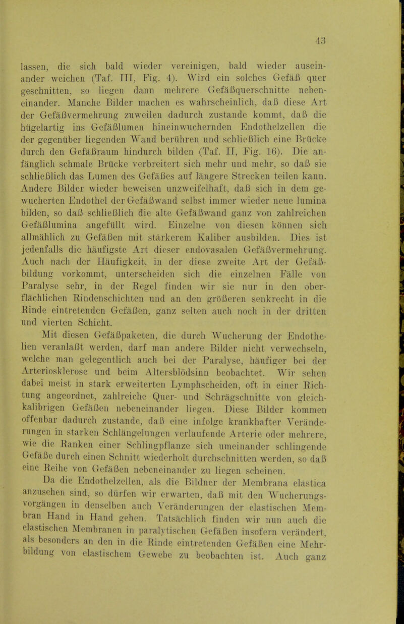 lassen, die sich bald wieder vereinigen, bald wieder ausein- ander weichen (Taf. Ill, Fig. 4). Wird em solches GefaB quer geschnitten, so liegen dann mehrere Gefafiquerschnitte neben- einander. Manche Bildcr machen es wahrscheinlich, daB diese Art der GefaBvermehrung zuweilen dadurch zustande kommt, da(3 die hiigelartig ins GefaBlumen hineinwuchernden Endothelzellen die der gegenuber liegenden Wand beruiiren und schlieBlich eine Briicke durch den GefaBraum hindurch bilden (Taf. IT, Fig. 16). Die an- fanglich schmale Briicke verbreitert sich mehr und mehr, so daB sie schlieBlich das Lumen des GefaBes auf langere Strecken teilen kann. Andere Bilder wieder beweisen unzweifelhaft, daB sich in dem ge- wucherten Endothel der GefaBwand selbst immer wieder neue lumina bilden, so daB schlieBlich die alte GefaBwand ganz von zahlreichen GefaBlumina angcfiillt wird. Einzelne von diescn konncn sich allmahlich zu GefaBen mit starkerem Kalibcr ausbilden. Dies isl jedenfalls die haufigste Art dieser cndovasalen ClefaBvermehrung. Auch nach der Haufigkeit, in der diese zweite Art der GefaB- bildung vorkommt, unterscheiden sich die einzelnen Falle von Paralyse sehr, in der Regel finden wir sic nur in den ober- flachlichen Rindenschichten und an den grofleren senkrechl in die Rinde eintretenden GefaBen, ganz selten audi nodi in der dritten und vierten Schicht. Mit diesen GefaBpaketen, die dureh Wucherung der Endothe- lien veranlaBt werden, darf man andere Bilder nidit verwechseln, welche man gelegentlich auch bei der Paralyse, haufiger bei der Arteriosklerose und beim Altersblbdsinn beobachtet, Wir sehen dabei meist in stark erweiterten Lymphscheiden, oft in einer Rich- tung angeordnet, zahlreiche Quer- und Schragschnitte von glcich- kalibrigen GefaBen nebeneinander liegen. Diese Bilder kommcn offenbar dadurch zustande, daB eine infolge krankhafter Verande- rungen in starken Schlangelungen verlaufende Arterie oder mehrere, wie die Ranken einer Schlingpflanze sich umeinander schlingende GefaBe durch einen Schnitt wiederholt durchschnitten werden, so daB eine Reihe von GefaBen nebeneinander zu liegen scheinen. Da die Endothelzellen, als die Bildner der Membrana elastica anzusehen sind, so diirfcn wir erwarten, daB mit den Wncherungs- vorgangen in denselben auch Veranderungen der elastischen Mem- bran Hand in Hand gehcn. Tatsachlich finden wir nun auch die elastischen Membranen in paralytischen GefaBen insofern verandert, als besonders an den in die Rinde eintretenden GefaBen eine Mehr bildung von elastischem Gewebe zu beobachten ist. Auch ganz