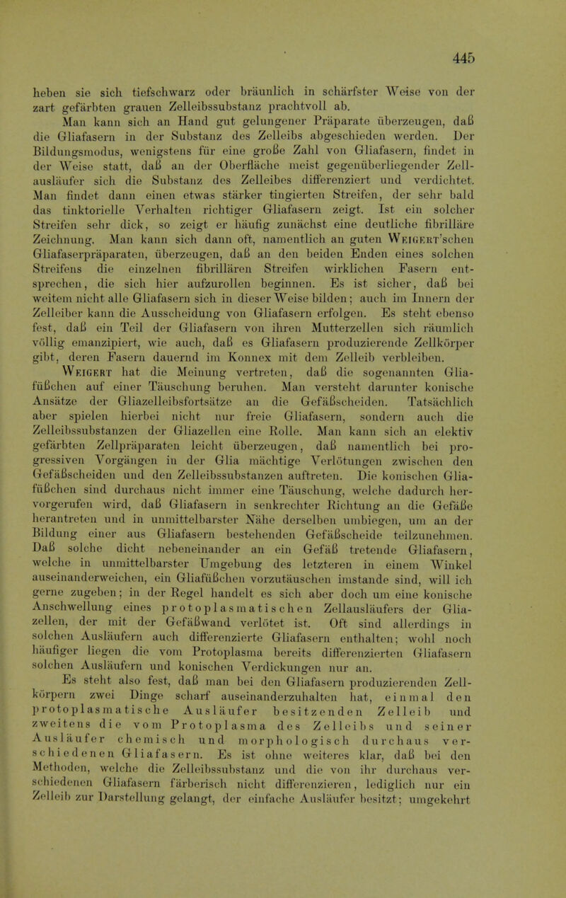 heben sie sich tiefschwarz oder braunlich in scharfster Weise von der zart gefarbten grauen Zelleibssubstanz prachtvoll ab. Man kann sich an Hand gut gelungener Praparate iiberzeugen, daB die Gliafasern in der Substanz des Zelleibs abgeschieden werden. Per Bilduugsniodus, wenigstens fur eine groBe Zahl von Gliafasern, findet in der Weise statt, daB an der Oberflache meist gegeniiberliegender Zell- auslaufer sich die Substanz des Zelleibes difFerenziert und verdichtet. .Man findet dann einen etwas starker tingierten Streifen, der sehr bald das tinktorielle Verhalten richtiger Gliafasern zeigt. 1st ein solcher Streifen sehr dick, so zeigt er haufig zunachst eine deutliche fibrillare Zeichnung. Man kann sich dann oft, namentlich an guten WEKiER'r'sehen Gliafaserpraparaten, iiberzeugen, daB an den beiden Enden eines solchen Streifens die einzelnen fibrillaren Streifen wirklichen Fasern ent- sprechen, die sich hier aufzurollen beginnen. Es ist sicher, daB bei weitem nicht alle Gliafasern sich in dieser Weise bilden; auch im Innern der Zelleiber kann die Ausscheidung von Gliafasern erfolgen. Es steht ebenso fest, daB ein Teil der Gliafasern von ihren Mutterzellen sich raumlich v6llig emanzipiert, wie auch, daB es Gliafasern produzierende ZellkSrper gibt, deren Fasern dauernd im Konnex mit dem Zelleib verbleiben. WeiTiERT hat die Meinung vertreten, daB die sogenannten Glia- fuBehen auf einer Tauschung beruhen. Man versteht darunter konische Ansatze der Gliazelleibsfortsatze an die GefaBscheiden. Tatsachlich aber spielen hierbei nicht nur freie Gliafasern, sondern auch die Zelleibssiibstanzen der Gliazellen eine Rolle. Man kann sich an elektiv gefarbten Zellpraparaten leicht iiberzeugen, daB namentlich bei pro- gressiven Vorgangen in der Glia machtige Verlcitungen zwischen den GefaBscheiden und den Zelleibssubstanzen auftreten. Die konischen Glia- fiiBch en sind durchaus nicht immer eine Tauschung, welche dadurch her- vorgerufen wird, daB Gliafasern in senkrechter Richtung an die GefaBe herantreten und in unmittelbarster Nahe derselben umbiegen, uin an der Bildung einer aus Gliafasern bestehenden GefaBscheide teilzunehmen. DaB solche dicht nebeneinander an ein GefaB tretende Gliafasern, welche in unmittelbarster Umgebung des letzteren in einem Winkel auseinanderweichen, ein GliafiiBchen vorzutauschen imstande sind, will ich gerne zugeben; in der Kegel handelt es sich aber doch um eine konische Anschwellung eines protoplasmatischen Zellauslaufers der Glia- zellen, der mit der GefiiBwand verlotet ist. Oft sind allerdings in solchen Auslaufem auch differenzierte Gliafasern enthalten; wohl noch haufiger liegen die vom Protoplasma bereits difierenzierten Gliafasern solchen Auslaufem und konischen Verdickungen nur an. Es steht also fest, daB man bei den Gliafasern produzierenden Zell- korpern zwei Dinge scharf auseinanderzuhalten hat, einmal den ]) rotoplasmatische Auslaufer besitzenden Zelleib und zweitens die vom Protoplasma des Zelleibs und seiner Auslaufer chemi8ch und m or p h o 1 o gis ch durchaus ver- schiedenen Gliafasern. Es ist ohne weiteres klar, daB bei den Methoden, welche die Zelleibssubstanz und die von ihr durchaus ver- schiedenen Gliafasern farberisch nicht differenzieren, lediglich nur ein Zelleib zur Darstellung gelangt, der einfache Auslaufer besitzt; umgekehrt