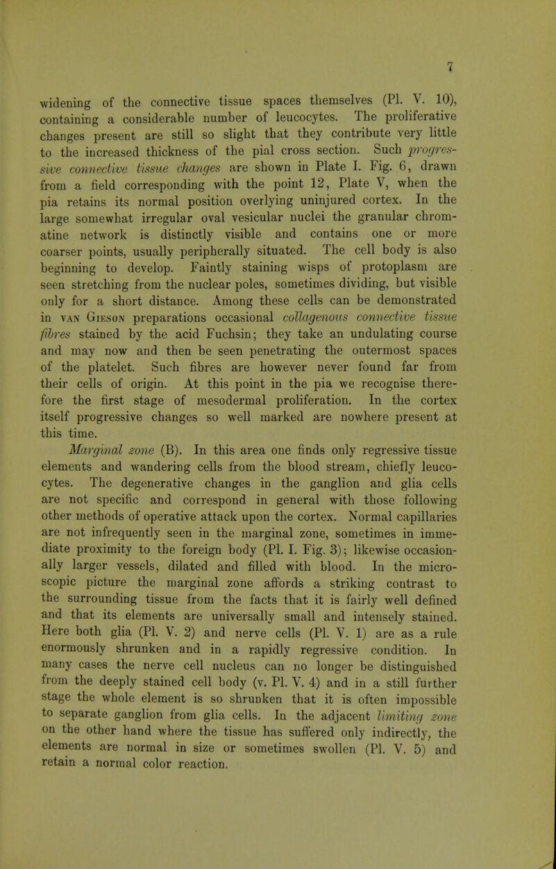widening of the connective tissue spaces themselves (PI. V. 10), containing a considerable number of leucocytes. The proliferative changes present are still so slight that they contribute very little to the increased thickness of the pial cross section. Such iwogres- sive connective tisme changes are shown in Plate I. Fig. 6, drawn from a field corresponding with the point 12, Plate V, when the pia retains its normal position overlying uninjured cortex. In the large somewhat irregular oval vesicular nuclei the granular chrom- atine network is distinctly visible and contains one or more coarser points, usually peripherally situated. The cell body is also beginning to develop. Faintly staining wisps of protoplasm are seen stretching from the nuclear poles, sometimes dividing, but visible only for a short distance. Among these cells can be demonstrated in VAN GiEsoN preparations occasional collagenous connective tissue fibres stained by the acid Fuchsin; they take an undulating course and may now and then be seen penetrating the outermost spaces of the platelet. Such fibres are however never found far from their cells of origin. At this point in the pia we recognise there- fore the first stage of mesodermal proliferation. In the cortex itself progressive changes so well marked are nowhere present at this time. Marginal zone (B). In this area one finds only regressive tissue elements and wandering cells from the blood stream, chiefly leuco- cytes. The degenerative changes in the ganglion and glia cells are not specific and correspond in general with those following other methods of operative attack upon the cortex. Normal capillaries are not infrequently seen in the marginal zone, sometimes in imme- diate proximity to the foreign body (PI. I. Fig. 3); likewise occasion- ally larger vessels, dilated and filled with blood. In the micro- scopic picture the marginal zone afi'ords a striking contrast to the surrounding tissue from the facts that it is fairly well defined and that its elements are universally small and intensely stained. Here both gha (PI. V. 2) and nerve cells (PI. V. 1) are as a rule enormously shrunken and in a rapidly regressive condition. In many cases the nerve cell nucleus can no longer be distinguished from the deeply stained cell body (v. PI. V. 4) and in a still further stage the whole element is so shrunken that it is often impossible to separate ganglion from glia cells. In the adjacent limiting zone on the other hand where the tissue has suffered only indirectly, the elements are normal in size or sometimes swollen (PI. V. 5) and retain a normal color reaction.