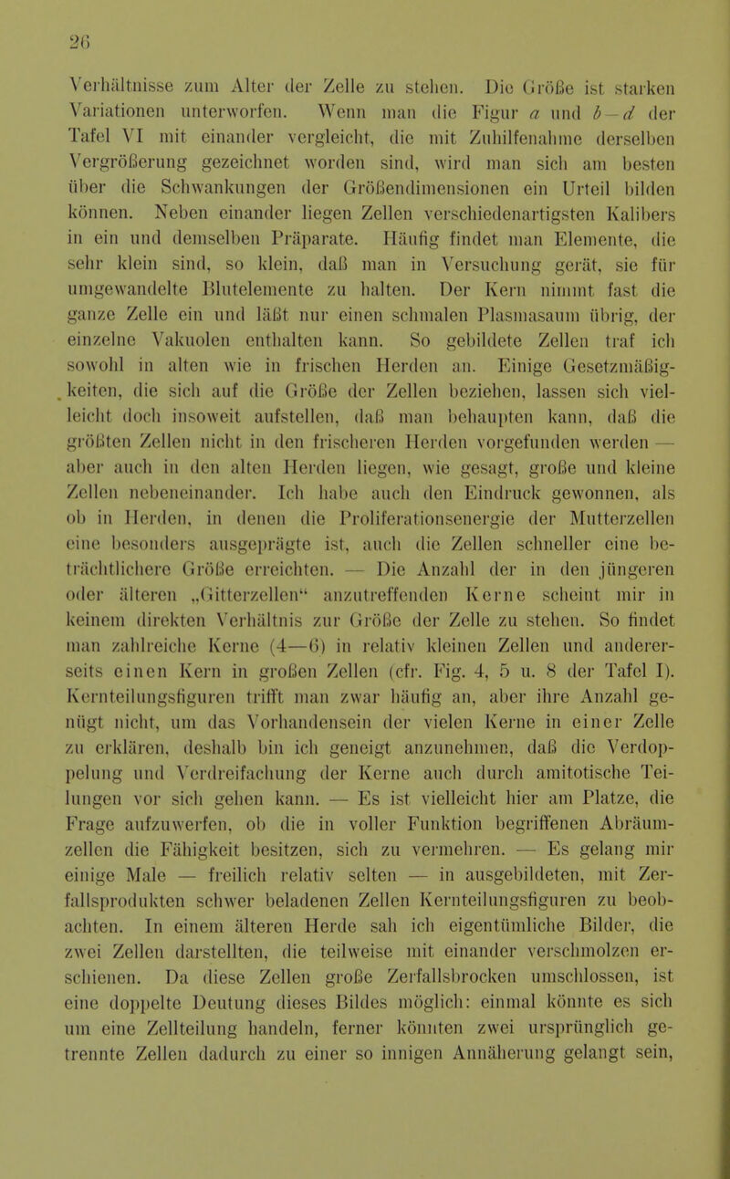 Veihaltnisse zum Alter cler Zelle zu stelien. Die GroBe ist starken Variationen unterworfcn. Wenn man die Figur a mid b~d der Tafel VI mit einander vergleicht, die iiiit Ziiliilfenaliine derselijcn Vei-groBerung gezeichnet worden sind, wird man sicli am besten iiber die Schwankungen der Grofiendimensionen ein Urteil bilden konnen. Neben einander liegen Zellen verschiedenartigsten Kalibers in ein und demselben Praparate. Iliinfig findet man Elemente, die sehr klein sind, so klein, daB man in \'ersucliung geriit, sie fiir umgewandelte Blutelemente zu balten. Der Kern ninimt fast die ganze Zelle ein nnd laBt nur einen sclimalen Plasmasanm iibrig, der einzelne Vakuolen entlialten kann. So gebildete Zellen traf ich sowohl in alten wie in frischen Herden an. Einige GesetzmaBig- . keiten, die sich aiif die GroBe der Zellen bcziehen, lassen sicli viel- leiclit doch insoweit aufstellen, daB man belianpten kann, daB die groBten Zellen nicht in den frisclieren Herden vorgefnnden werden — aber auch in den alten Herden liegen, wie gesagt, groBe und kleine Zellen nebeneinander. loh habe auch den Eindruck gewonnen, als ob in Herden, in denen die Proliferationsenergie der Mntterzellen cine besonders ausgepriigte ist, audi die Zellen schneller eine be- traclitlichere GroBe erreichten. — Die Anzalil der in den jiingeren Oder alteren ..(litterzellen anzutreffenden Kerne sclieint mir in keinem direkten Verlialtnis zur GroBe der Zelle zu stelien. So findet man zalilreielie Kerne (4—G) in relativ kleinen Zellen und anderer- seits einen Kern in groBen Zellen (cfr. Fig. 4, 5 u. 8 der Tafel I). Kernteilungstiguren trifi't man zwar liaufig an, aber ihre Anzalil ge- niigt niclit, um das Vorhandensein der vielen Kerne in einer Zelle zu erklaren. deshalb bin ich geneigt anzunehmen, daB die \'erdop- pelnng und \'crdreifaciiung der Kerne auch durch amitotische Tei- lungen vor sich gehen kann. — Es ist vielleicht hicr am Platze, die Frage aufzuwerfen, ob die in voller Funktion begriflfenen Abrauni- zellcn die Fiihigkeit besitzen, sich zu vermehren. — Es gelang mir einige Male — freilich relativ selten — in ausgebildeten, mit Zer- fallsprodukten schwer beladenen Zellen Kernteilungsfiguren zu beob- achten. In einem alteren Herde sah ich eigentiimliche Bildei-, die zwei Zellen darstellten, die teilweise mit einander verschmolzen er- scliienen. Da diese Zellen groBe Zeifallsbrocken umschlossen, ist eine doppelte Deutung dieses Bildes moglich: einmal konnte es sich um eine Zellteilung handeln, ferner konnten zwei urspriinglich ge- trennte Zellen dadurch zu einer so innigen Annaherung gelangt sein.