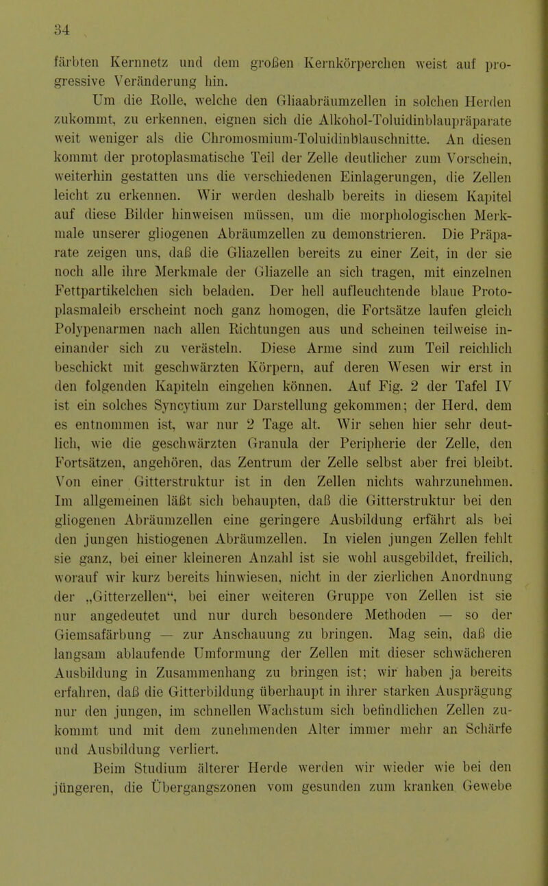 farbten Kernnetz und dem groBen Kei-nkorperchen weist auf pro- gressive Veranderiing liin. Um die RoUe, welclie den Gliaabraiimzellen in solchen Herden zukommt, zu erkennen. eignen sich die Alkohol-Toluidinblaupraparate weit weniger als die Chromosmium-Toliiidintalauschnitte. An diesen kommt der protoplasmatische Teil der Zelle deutlicher zum Vorscliein, weiterhin gestatten uns die verschiedenen Einlagerungen, die Zellen leicht zu erkennen. Wir werden deshalb bereits in dieseni Kapitel auf diese Bikler hinweisen niiissen. um die niorpliologischen Merk- niale unserer gliogenen Abraumzellen zu demonstrieren. Die Prapa- rate zeigen uns, da6 die Gliazellen bereits zu einer Zeit, in der sie noch aile ilire Merkmale der (iliazelle an sich tragen, mit einzelnen Fettpartikelclien sich beladen. Der hell aufleuchtende blaue Proto- plasmaleib erscheint noch ganz homogen, die Fortsatze laufen gleicli Polypenarmen nach alien Richtungen aus und scheinen teilweise in- einander sich zu verasteln, Diese Arme sind zum Teil reichlicli beschickt mit geschwitrzten Korpern, auf deren Wesen wir erst in den folgenden Kapiteln eingehen konnen. Auf Fig. 2 der Tafel IV ist ein solches Syncytium zur Darstellung gekommen; der Herd, dem as entnomnien ist, war nur 2 Tage alt. Wir sehen hier sehr deut- lich, wie die geschwiirzten Granula der Peripherie der Zelle, den Fortsatzen, angehoren, das Zentrum der Zelle selbst aber frei bleibt. Von einer Gitterstrnktur ist in den Zellen nichts wahrzunehmen. Im allgemeinen laBt sich behaupten, daB die Gitterstrnktur bei den gliogenen Abraumzellen eine geringere Ausbildung erfahrt als bei den jungen histiogenen Abraumzellen. In vielen jungen Zellen fehlt sie ganz, bei einer kleineren Anzahl ist sie wohl ausgebildet, freilich. worauf wir kurz bereits hinwiesen, nicht in der zierlichen Anordnung der ,,Gitterzellen, bei einer weiteren Gruppe von Zellen ist sie nur angedeutet und nur durch besondere Methoden — so der Giemsafiirbung — zur Anschauung zu bringen. Mag sein, daB die langsara ablaufende Umformung der Zellen mit dieser schwacheren Ausbildung in Zusammenhang zu bringen ist; wir haben ja bereits erfahren, daB die Gitterbildung iiberhaupt in ihrer starken Auspragung nur den jungen, im schnellen Wachstum sich betindlichen Zellen zu- kommt und mit dem zunehmenden Alter immer melir an Scharfe und Ausbildung verliert. Beim Studium alterer Herde werden wir wieder wie bei den jiingeren, die Ubergangszonen vom gesuiulen zum kranken Gewebe