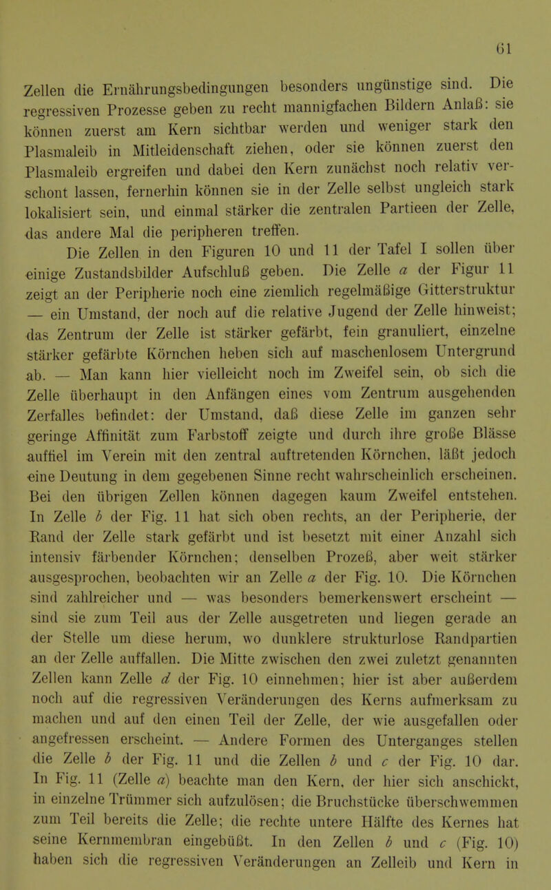 Zellen die Ernahriingsbeclingungen besonders ungunstige sind. Die regressiven Prozesse geben zu recht mannigfachen Bildern AnlaB: sie konnen ziierst am Kern sichtbar werden und weniger stark den Plasmaleib in Mitleidenschaft Ziehen, oder sie konnen zuerst den Plasmaleib ergreifen und dabei den Kern zunachst noch relativ ver- schont lassen, fernerhin konnen sie in der Zelle selbst ungleich stark lokalisiert sein, und einmal starker die zentralen Partieen der Zelle, das andere Mai die peripheren treflfen. Die Zellen in den Figuren 10 und 11 der Tafel I sollen iiber dnige Zustandsbilder AufschluB geben. Die Zelle a der Figur 11 zeigt an der Peripherie noch eine ziemlich regelmiiBige Gitterstruktur — ein Umstand, der noch auf die relative Jugend der Zelle hinweist; das Zentrum der Zelle ist starker gefarbt, fein granuliert, einzelne starker gefarbte Kornchen heben sich auf maschenlosem Untergrund ab. — Man kann hier vielleicht noch im Zvveifel sein, ob sich die Zelle iiberhaupt in den Anfangen eines vom Zentrum ausgehenden Zerfalles befindet: der Umstand, dafi diese Zelle im ganzen sehr geringe Affinitat zum Farbstoff zeigte und durch ihre groBe Blasse auftiel im Verein mit den zentral auftretenden Kornchen. laBt jedoch •eine Deutung in dem gegebenen Sinne recht wahrscheinlich erscheinen. Bei den iibrigen Zellen konnen dagegen kaum Zweifel entstehen. In Zelle b der Fig. 11 hat sich oben rechts, an der Peripherie, der Rand der Zelle stark gefarbt und ist besetzt mit einer Anzahl sich intensiv farbender Kornchen; denselben ProzeB, aber weit starker ausgesprochen, beobachten wir an Zelle a der Fig. 10. Die Kornchen sind zahlreicher und — was besonders bemerkenswert erscheint — sind sie zum Teil aus der Zelle ausgetreten und liegen gerade an der Stelle um diese herum, wo dunklere strukturlose Randpartien an der Zelle auf fallen. Die Mitte zwischen den zwei zuletzt genannten Zellen kann Zelle d der Fig. 10 einnehmen; hier ist aber auBerdem noch auf die regressiven Veriinderungen des Kerns aufmerksam zu machen und auf den einen Teil der Zelle, der wie ausgefallen oder angefressen erscheint. — Andere Formen des Unterganges stellen die Zelle b der Fig. 11 und die Zellen b und c der Fig. 10 dar. In Fig. 11 (Zelle a) beachte man den Kern, der hier sich anschickt, in einzelne Trummer sich aufzulosen; die Bruchstiicke uberschwemmen zum Teil bereits die Zelle; die rechte untere Hiilfte des Kernes hat seine Kernmembran eingebuBt. In den Zellen b und c (Fig. 10) haben sich die regressiven Veranderungen an Zelleib und Kern in