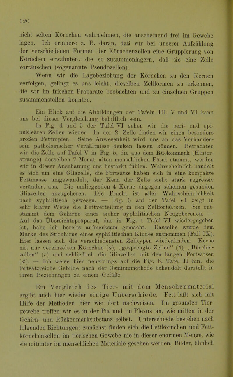 nicht selten Kornclien wahrnehmen, die anscheinend frei im Gewebe lagen. Ich erinnere z. B. daran, dafi wir bei unserer Aufzahlung der verschiedenen Formen der Kornchenzellen eine Gruppierung von Kornchen erwahnten, die so zusammenlagern, da6 sie eine Zelle vortausclien (sogenannte Pseudozellen). Wenn wir die Lagebeziehiing der Kornchen zii den Kernen verfolgen, gelingt es uns leicht, dieselben Zellformen zii erkennen, die wir im frischen Praparate beobachten und zu einzelnen Grupi)en zusammenstellen konnten. Ein Blick auf die Abbildungen der Tafeln III, V und VI kann uns bei dieser Vergleicliung behilflich sein. Ill Fig. 4 und 5 der Tafel VI sehen wir die peri- und epi- nuklearen Zellen wieder. In der 2. Zelle finden wir einen besonders grofien Fettropfen. Seine Anwesenheit wird uns an das Vorhanden- sein pathologischer Verhaltnisse denken lassen konnen. Betracliten wir die Zelle auf Tafel V in Fig. 5, die aua dem Riickenmark (Hinter- strange) desselben 7 Monat alten menschlichen Fotus stammt, werden wir in dieser Anscliauung uns bestarkt ftihlen. Wahrscheinlich handelt es sich um eine Gliazelle, die Fortsatze haben sicli in eine kompakte Fettmasse umgewandelt, der Kern der Zelle sieht stark regressiv verandert aus. Die umliegenden 4 Kerne dagegen scheinen gesunden Gliazellen anzugehoren. Die Frucht ist aller Wahrscheinlichkeit nach syphilitisch gewesen. — Fig. 3 auf der Tafel VI zeigt in sehr klarer Weise die Fettverteilung in den Zellfortsatzen. Sie ent- stammt dem Gehirne eines sicher S3'pliilitischen Neugeborenen. — Auf das Ubersichtspraparat, das in Fig. 1 Tafel VI wiedergegeben ist, habe ich bereits aufmerksani gemacht. Dasselbe wurde dem Marke des Stirnhirns eines syphilitischen Kindes entnommen (Fall IX). Hier lassen sich die verschiedensten Zelltypen wiederfinden. Kerne mit nur vereinzelten Kornchen {a), ,,gesprengte Zellen (d), ,,Biischel- zellen (c) und schliefilich die Gliazellen mit den langen Fortsatzen (d). — Ich weise hier neuerdings auf die Fig. 6, Tafel II hin, die fortsatzreiche Gebilde nach der Osmiummethode behandelt darstellt in ihren Beziehungen zn einem Gefafie. Ein Vergleich des Tier- mit dem Menschenmaterial ergibt auch hier wieder einige Unterschiede. Fett lalBt sich mit Hilfe der Methoden hier wie dort nachweisen. Im gesunden Tier- gewebe treffen wir es in der Pia und im Plexus an, wie mitten in der Gehirn- und Riickenmarksubstanz selbst. Unterscliiede bestehen nach folgenden Richtungen: zunachst finden sich die Fettkornchen und Fett- kornchenzellen im tierischen Gewebe nie in dieser enormen Menge, wie sie mitunter im menschlichen Materiale gesehen werden, Bilder, ahnlich