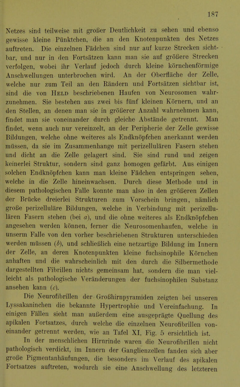 Netzes sind teilweise mit groBer Deutlichkeit zu sehen imd ebenso gewisse kleine Piinktchen, die an den Knotenpunkten des Netzes auftreten. Die einzelnen Fadclien sind nur auf kurze Strecken sicht- bar, und nur in den Fortsatzen kann man sie auf groBere Strecken verfolgen, wobei ihr Verlauf jedoch durch kleine korncbenformige Anschwellungen unterbrochen wird. An der Oberflache der Zelle, welche nur zum Teil an den Randern und Fortsatzen sichtbar ist, sind die von Held beschriebenen Haufen von Neurosomen wahr- zunehmen. Sie bestehen aus zwei bis funf kleinen Kornern, und an den Stellen, an denen man sie in groBerer Anzahl wahrnehmen kann, findet man sie voneinander durch gleiche Abstande getrennt. Man findet, wenn auch nur vereinzelt, an der Peripherie der Zelle gewisse Bildungen, welche ohne weiteres als Endknopfchen anerkannt werden miissen, da sie im Zusammenhange mit perizellularen Fasern stehen und dicht an die Zelle gelagert sind. Sie sind rund und zeigen keinerlei Struktur, sondern sind ganz homogen gefarbt. Aus einigen solchen Endknopfchen kann man kleine Fadchen entspringen sehen, welche in die Zelle hineinwachsen. Durch diese Methode und in diesem pathologischen Falle konnte man also in den groBeren Zellen der Briicke dreierlei Strukturen zum Vorschein bringen, namlich groBe perizellulare Bildungen, welche in Verbindung mit perizellu- laren Fasern stehen (bei a\ und die ohne weiteres als Endknopfchen angesehen werden konnen, ferner die Neurosomenhaufen, welche in unserm Falle von den vorher beschriebenen Strukturen unterschieden werden mussen (3), und schlieBlich eine netzartige Bildung im Innern der Zelle, an deren Knotenpunkten kleine fuchsinophile Kornchen anhaften und die wahrscheinlich mit den durch die Silbermethode dargestellten Fibrillen nichts gemeinsam hat, sondern die man viel- leicht als pathologische Veranderungen der fuchsinophilen Substanz ansehen kann {c). Die Neurofibrillen der GroBhirnpyramiden zeigten bei unseren Lyssakaninchen die bekannte Hypertrophic und Vereinfachung. In einigen Fallen sieht man auBerdem eine ausgepragte Quellung des apikalen Fortsatzes, durch welche die einzelnen Neurofibrillen von- einander getrennt werden, wie an Tafel XI, Fig. 5 ersichtlich ist. In der menschlichen Hirnrinde waren die Neurofibrillen nicht pathologisch verdickt, im Innern der Ganglienzellen fanden sich aber groBe Pigmentanhaufungen, die besonders im Verlauf des apikalen Fortsatzes auftreten, wodurch sie eine Anschwellung des letzteren