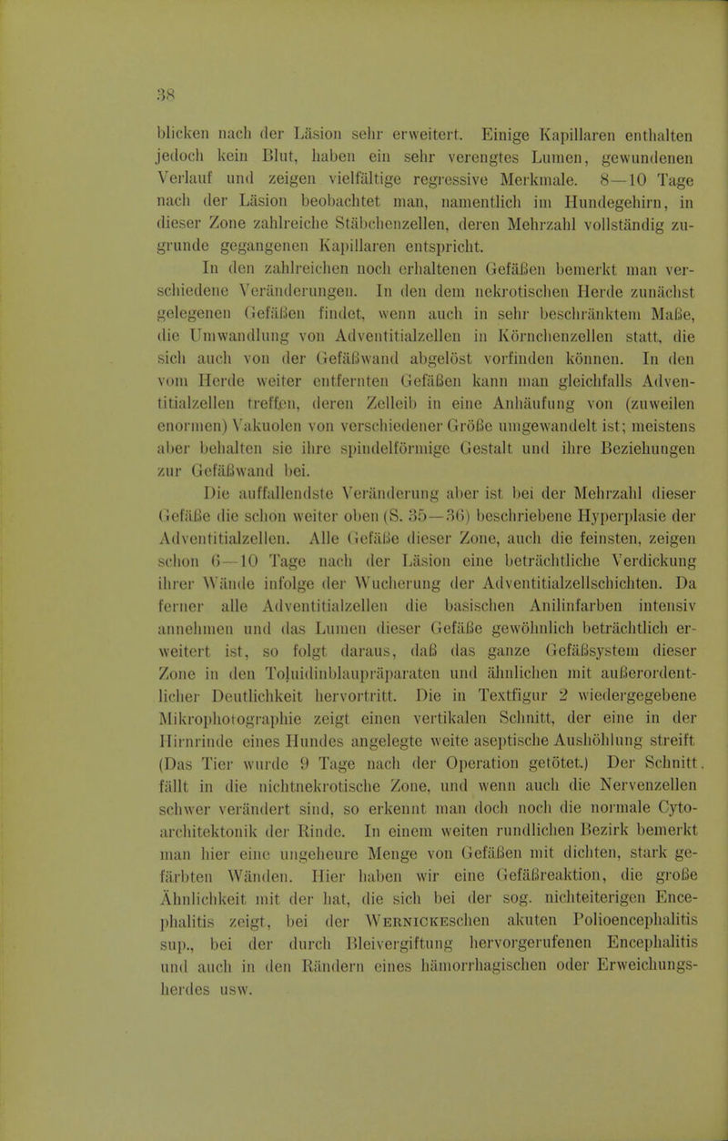 blicken nach der Lasion sehr erweitert. Einige Kapillaren enthalten jedoch kein Blut, haben ein sehr verengtes Lumen, gewundenen Verlauf and zeigen vielfaltige regressive Merkmale. 8—10 Tage nach der Lasion beobachtet man, namentlich im Hundegehirn, in dieser Zone zahlreiche Stabchenzellen, deren Mehrzahl vollstandig zu- grunde gegangenen Kapillaren entspricht. In den zaMreichen noch erhaltenen GefaBen bemerkt man ver- schiedene Veranderungen. In den dem nekrotischen Herde zunachst gelegenen GefaBen findet, wenn auch in sehr beschranktem MaBe, die Umwandlung von Adventitialzellen in Kornchenzellen statt, die sich auch von der GefaBwand abgelost vorfinden konnen. In den vom Herde weiter entfernten GefaBen kann man gleichfalls Adven- titialzellen treffen, deren Zelleib in eine Anhaufung von (zuweilen enonnen) Vakuolen von verschiedener GroBe umgewandelt ist; meistens aber behalten sie ihre spindelformige Gestalt und ihre Beziehungen zur GefaBwand bei. Die anffallendste Veranderung aber ist bei der Mehrzahl dieser GefiiBe die schon weiter oben (S. 35—36) beschriebene Hyperplasie der Adventitialzellen. Alle GefilBe dieser Zone, auch die feinsten, zeigen schon 6—10 Tage nach der Lasion eine betrachtliche Verdickung ihrer Wande infolge der Wncherung der Adventitialzellschichten. Da feruer alle Adventitialzellen die basischen Anilinfarben intensiv annehmen und das Lumen dieser GefiiBe gewolmlich betrachtlich er- weitert ist, so folgt daraus, daB das ganze GefaBsystem dieser Zone in den Toluidinblaupraparaten und ahnlichen mit auBerordent- licher Deutlichkeit hervortritt. Die in Textfigur 2 wiedergegebene Mikrophotographie zeigt einen vertikalen Sclmitt, der eine in der Himrinde eines Hundes angelegte weite aseptische Aushohlung streift (Das Tier wurde 9 Tage nach der Operation getotet.) Der Schnitt fiilit in die nichtnekrotische Zone, und wenn audi die Nervenzellen schwer verandert sind, so erkennt man doch noch die normale Cyto- architektonik der Rinde. In einem weiten rundlichen Bezirk bemerkt man hier eine ungeheure Menge von GefaBen mit dichten, stark ge- fiirbten Wanden. Hier haben wir eine GefiiBreaktion, die groBe Ahnlichkeit mit der hat, die sich bei der sog. nichteiterigen Ence- phalitis zeigt, bei der WEitNiCKEschen akuten Polioencephalitis sup., bei der durch Bleivergiftung hervorgerufenen Encephalitis and auch in den Randern eines hamorrhagischen oder Erweichungs- herdes usw.