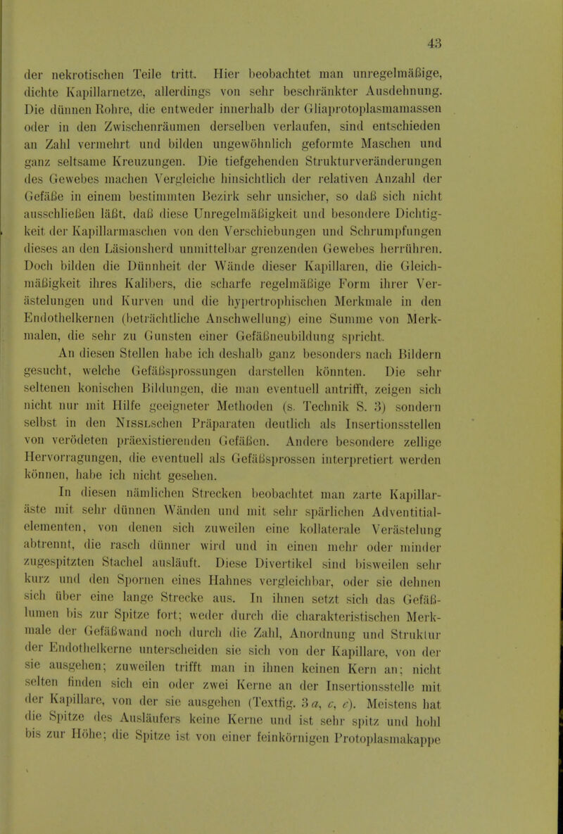 der nekrotischen Teile tritt. Hier beobachtet man unregelmaBige, dichte Kapillarnetze, allerdings von sehr beschrankter Ausdehnnng. Die diinnenRohre, die entweder innerlialb der Glinprotoplasmamassen oder in den Zwischenraumen derselben verlaufen, sind entschieden an Zahl vermehrt und bilden ungewohnlich geformte Maschen und ganz seltsame Kreuzungen. Die tiefgehendcn Strukturveranderungen ilcs Gewebes machen Vergleiche hinsichtlich der relativen Anzahl der GefaBe in einem bestimmten Bezirk sehr unsicher, so daB sich nicht ausschlieBen laBt, daB diese UnregelmaBigkeit und besondere Dichtig- keit der Kapillarmaschen von den Verschiebungen und Schrumpfungen dieses an den Lasionsherd unmittelbar grenzenden Gewebes herriihren. Docli bilden die Diinnheit der Wande dieser Kapillaren, die Gleich- niaBigkeit ihres Kalibers, die scharfe regelmiiBige Form ihrer Ver- astelungen und Kurven und die hypertrophischen Merkmale in den Kndothelkernen (betrachtliche Anschwellung) eine Summe von Merk- malen, die sehr zu Gunsten einer GefaBneubildung spricht An diesen Stellen babe ich deshalb ganz besonders nach Bildern gesucht, welche Gef&tisprossungen darstellen konnten. Die sehr seltenen konischen Bildungen, die man eventuell antrifFt, zeigen sich nicht nur mit Hilfe geeigneter Methoden (s. Technik S. 3) sondern selbst in den NissLschen Praparaten deutlich als Insertionsstellen von verodeten praexistierenden GefiiBen. Andere besondere zellige Hervorragungen, die eventuell als GefaBsprossen interpretiert werden konnen, habe ich nicht gesehen. In diesen namlichen Strecken beobachtet man zarte Kapillar- aste mit sehr diinnen Wanden und mit sehr sparlichen Adventitial- elementen, von denen sich zuweilen eine kollaterale Verastelung abtrennt, die rasch diinner wird und in einen tnehr oder minder zugespitzten Stachel auslauft. Diese Divertikel sind bisweilen sehr kurz und den Spornen eines Hahnes vergleichbar, oder sie dehnen sich uber eine lange Strecke aus. In ihnen setzt sich das GefaB- lumen bis zur Spitze fort; weder dure]] die charakteristischen Merk- male der GefiiBwand noch durch die Zahl, Anordnung und Struklur der Endothelkerne unterscheiden sie sich von der Kapillare, von der sie ausgehen; zuweilen trifft man in ihnen keinen Kern an; nicht selten finden sich ein oder zwei Kerne an der Insertionsstelle mil der Kapillare, von der sie ausgehen (Texttig. 3 a, c, e). Meistens hat die Spitze des Auslaufers keine Kerne und ist sehr spitz und hold bis zur Hohe; die Spitze ist von einer feinkornigen Protoplasmakappe