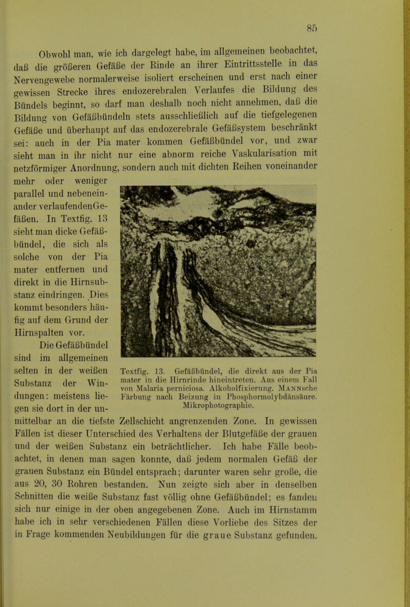 Obwohl man, wie ich dargelegt habe, im allgemeinen beobachtet, daB die groBeren GefaBe der Rinde an ihrer Eintrittsstelle in das Nervengewebe normalerweise isoliert erscheinen und erst nach einer gewissen Strecke ihres endozerebralen Verlaufes die Bildung des Biindels beginnt, so darf man deshalb noch nicht annehmen, daB die Bildung von GefaBbiindeln stets ausschlieBlich auf die tiefgelegenen GefaBe und iiberhaupt auf das endozerebrale GefaBsystem beschrankt sei: audi in der Pia mater kommen GefaBbundel vor, und zwar sieht man in ihr nicht nur eine abnorm reiche Vaskularisation mit netzformiger Anordnung, sondern auch mit dichten Reihen voneinander mehr oder weniger parallel und nebenein- ander verlaufendenGe- faBen. In Textfig. 13 sieht man dicke GefaB- biindel, die sich als solche von der Pia mater entfernen und direkt in die Hirnsub- stanz eindringen. Dies kommt besonders hau- fig auf dem Grund der Hirnspalten vor. Die GefaBbundel sind im allgemeinen selten in der weiBen Substanz der Win- dungen: meistens lie- gen sie dort in der un- Textfig. 13. GefaBbundel, die direkt aus der Pia mater in die Hirnrinde hineintreten. Aus einem Fall von Malaria perniciosa. Alkoholfixierung. MANNsche Farbung nach Beizung in Phosphormolybdansaure. Mikrophotographie. mittelbar an die tiefste Zellschicht angrenzenden Zone. In gewissen Fallen ist dieser Unterschied des Verhaltens der BlutgefaBe der grauen und der weiBen Substanz ein betrachtlicher. Ich habe Falle beob- achtet, in denen man sagen konnte, daB jedem normalen GefaB der grauen Substanz ein Bundel entsprach; darunter waren sehr grofie, die aus 20, 30 Rohren bestanden. Nun zeigte sich aber in denselben Schnitten die weiBe Substanz fast vollig ohne GefaBbundel; es fandeu sich nur einige in der oben angegebenen Zone. Auch im Hirnstamm habe ich in sehr verschiedenen Fallen diese Vorliebe des Sitzes der in Frage kommenden Neubildungen fur die graue Substanz gefundcn.