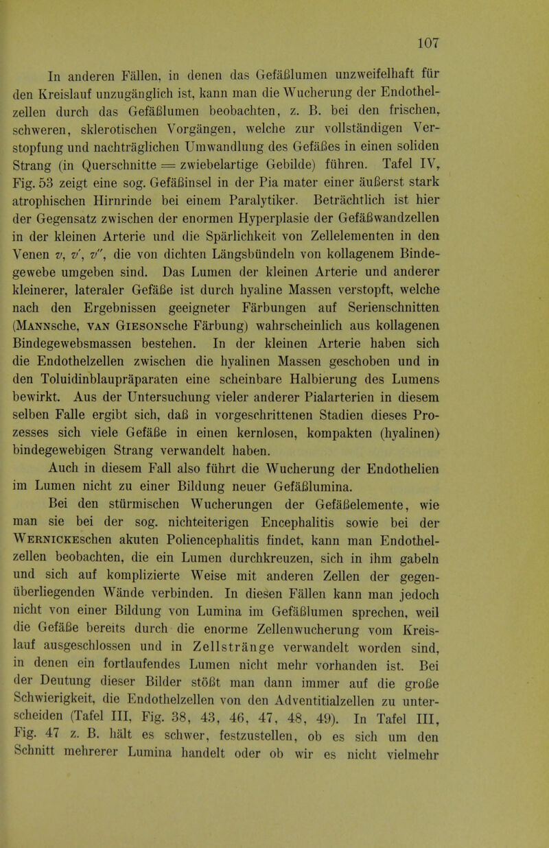 In anderen Fallen, in denen das GefaBlumen unzweifelhaft fur den Kreislauf unzuganglich ist, kann man die Wucherung der Endothel- zellen durch das GefaBlumen beobachten, z. B. bei den frischenr schweren, sklerotischen Vorgangen, welche zur vollstandigen Ver- stopfung und nachtraglichen Urawandlung des GefaBes in einen soliden Strang (in Querschnitte = zwiebelartige Gebilde) fiihren. Tafel IVr Fig. 53 zeigt eine sog. GefaBinsel in der Pia mater einer auBerst stark atrophischen Hirnrinde bei eineni Paralytiker. Betrachtlich ist hier der Gegensatz zwischen der enormen Hyperplasie der GefaBwandzellen in der kleinen Arterie und die Sparlichkeit von Zellelementen in den Venen v, v, v, die von dicliten Langsbundeln von kollagenem Binde- gewebe umgeben sind. Das Lumen der kleinen Arterie und anderer kleinerer, lateraler GefaBe ist durch hyaline Massen verstopft, welche nach den Ergebnissen geeigneter Farbungen auf Serienschnitten (MANNsche, van GiESONsche Farbung) wahrscheinlich aus kollagenen Bindegewebsmassen bestehen. In der kleinen Arterie haben sich die Endothelzellen zwischen die hyalinen Massen geschoben und in den Toluidinblaupraparaten eine scheinbare Halbierung des Lumens bewirkt. Aus der Untersuchung vieler anderer Pialarterien in diesem selben Falle ergibt sich, daB in vorgeschrittenen Stadien dieses Pro- zesses sich viele GefaBe in einen kernlosen, kompakten (hyalinen) bindegewebigen Strang verwandelt haben. Auch in diesem Fall also ftihrt die Wucherung der Endothelien im Lumen nicht zu einer Bildung neuer GefaBlumina. Bei den stiirmischen Wucherungen der GefaBelemente, wie man sie bei der sog. nichteiterigen Encephalitis sowie bei der WERNiCKEschen akuten Poliencephalitis findet, kann man Endothel- zellen beobachten, die ein Lumen durchkreuzen, sich in ihm gabeln und sich auf komplizierte Weise mit anderen Zellen der gegen- uberliegenden Wande verbinden. In diesen Fallen kann man jedoch nicht von einer Bildung von Lumina im GefaBlumen sprechen, weil die GefaBe bereits durch die enorme Zellenwucherung vom Kreis- lauf ausgeschlossen und in Zellstrange verwandelt worden sind, in denen ein fortlaufendes Lumen nicht mehr vorhanden ist. Bei der Deutung dieser Bilder stoBt man dann immer auf die grofie Schwierigkeit, die Endothelzellen von den Adventitialzellen zu unter- scheiden (Tafel III, Fig. 38, 43, 46, 47, 48, 49). In Tafel III, Fig. 47 z. B. halt es schwer, festzustellen, ob es sich urn den Schnitt mehrerer Lumina handelt oder ob wir es nicht vielmehr