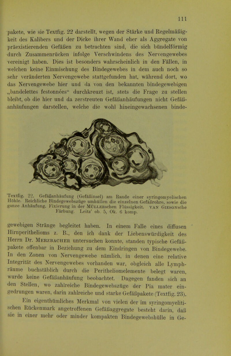 pakete, wie sie Textfig. 22 darstellt, wegen der Starke und RegelmaBig- keit des Kalibers und der Dicke ihrer Wand eher als Aggregate von praexistierenden GefaBen zu betrachten sind, die sich biindelforinig durch Zusammenriicken infolge Verschwindens des Nervengewebes vereinigt haben. Dies ist besonders wahrscheinlich in den Fallen, in welchen keine Einmischung des Bindegewebes in deni auch noch so sehr veranderten Nervengewebe stattgefunden hat, wahrend dort, wo das Nervengewebe hier und da von den bekannten bindegewebigen „bandelettes festonnees durchkreuzt ist, stets die Frage zu stellen bleibt, ob die hier und da zerstreuten GefaBanhaufungen nicht GefaB- anhaufungen darstellen, welche die wohl hineingewachsenen binde- Textfig. 22. GefaBanhaufung (GefaBinsel) am Rande einer syringomyelischen Hohle. Reichliche Bindegewebszuge umhiillen die einzelnen Gefaflrohre, sowie die ganze Anhiiufung. Fixierung in der MuLLERschen Fliissigkeit. van GiESONsche Farbung. Leitz' ob. 5, Ok. 6 komp. gewebigen Strange begleitet haben. In einem Falle eines cliffusen Hirnperithelioms z. B., den ich dank der Liebenswiirdigkeit des Herrn Dr. Merzbacher untersuchen konnte, standen typische GefaB- pakete offenbar in Beziehung zu dem Eindringen von Bindegewebe. In den Zonen von Nervengewebe namlich, in denen eine relative Integritat des Nervengewebes vorhanden war, obgleich alle Lymph- raume buchstablich durch die Peritheliomelemente belegt waren, wurde keine GefaBanhaufung beobachtet. Dagegen fanden sich an den Stellen, wo zahlreiche Bindegewebszuge der Pia mater ein- gedrungen waren, darin zahlreiche und starke GefaBpakete (Textfig. 23). Ein eigenthiimliches Merkmal von vielen der im syringomyeliti- schen Ruckenmark angetroffenen GefaBaggregate besteht darin, daB sie in einer mehr oder minder kompakten Bindegewebshulle in Ge-