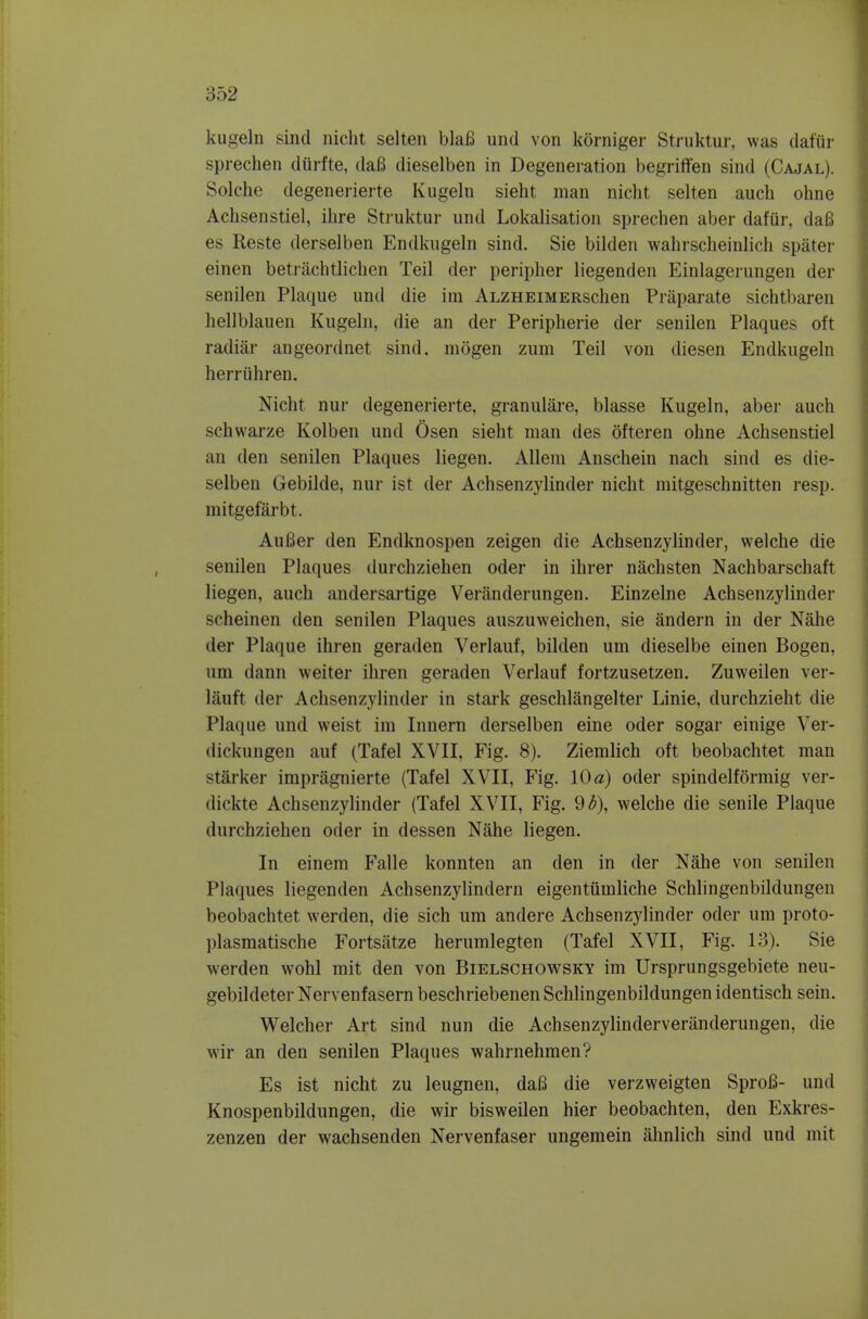 kugeln sind nicht selten blaB und von korniger Struktur, was dafiir sprechen diirfte, daB dieselben in Degeneration begriffen sind (Cajal). Solche degenerierte Kugeln sieht man nicht selten audi ohne Achsenstiel, ilire Struktur und Lokalisation sprechen aber dafur, daS es Reste derselben Endkugeln sind. Sie bilden wahrscheinlich spater einen betrachtlichen Teil der peripher liegenden Einlagerungen der senilen Plaque und die im ALZHEiMERSchen Praparate sichtbaren hellblauen Kugeln, die an der Peripherie der senilen Plaques oft radiar angeordnet sind. mogen zum Teil von diesen Endkugeln hei-riihren. Nicht nur degenerierte, granulare, blasse Kugeln, aber auch schwarze Kolben und Osen sieht man des ofteren ohne Achsenstiel an den senilen Plaques liegen. Allem Anschein nach sind es die- selben Gebilde, nur ist der Achsenzylinder nicht mitgeschnitten resp. mitgefarbt. AuBer den Endknospen zeigen die Achsenzylinder, welche die senilen Plaques durchziehen oder in ihrer nachsten Nachbarschaft liegen, auch andersartige Veranderungen. Einzelne Achsenzylinder scheinen den senilen Plaques auszuvveichen, sie andern in der Nahe der Plaque ihren geraden Verlauf, bilden um dieselbe einen Bogen, iim dann welter ihren geraden Verlauf fortzusetzen. Zuweilen ver- lauft der Achsenzylinder in stark geschlangelter Linie, durchzieht die Plaque und weist im Innern derselben eine oder sogar einige Ver- dickungen auf (Tafel XVII, Fig. 8). Ziemlich oft beobachtet man starker impragnierte (Tafel XVII, Fig. 10 a) oder spindelformig ver- dickte Achsenzylinder (Tafel XVII, Fig. 93), welche die senile Plaque durchziehen oder in dessen Nahe liegen. In einem Falle konnten an den in der Nahe von senilen Plaques liegenden Achsenzylindern eigentiimliche Schlingenbildungen beobachtet werden, die sich um andere Achsenzylinder oder um proto- plasmatische Fortsittze herumlegten (Tafel XVII, Fig. 13). Sie werden wohl mit den von Bielschowsky im Ursprungsgebiete neu- gebildeter Nervenfasern beschriebenen Schlingenbildungen identisch sein. Welcher Art sind nun die Achsenzylinderveranderungen, die wir an den senilen Plaques wahrnehmen? Es ist nicht zu leugnen, dafi die verzweigten Sprofi- und Knospenbildungen, die wir bisweilen hier beobachten, den Exkres- zenzen der wachsenden Nervenfaser ungemein ahnlich sind und mit
