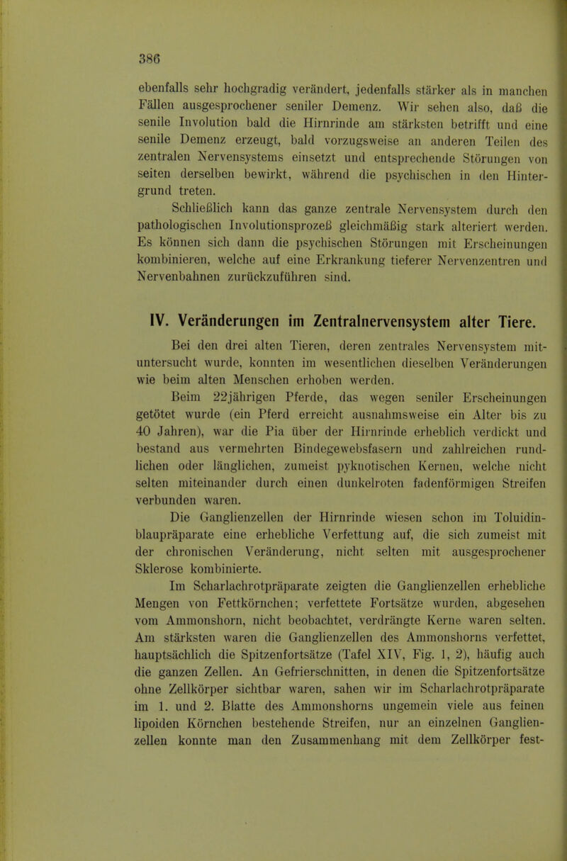 ebenfalls sehr hochgradig verandert, jedenfalls starker als in manchen Fallen ausgesprochener seniler Demenz. Wir sehen also, daB die senile Involution bald die Hirnrinde am starksten betrifft und eine senile Demenz erzeugt, bald vorzugsweise an anderen Teileii des zentralen Nervensystems einsetzt und entsprecliende Storungen von seiten derselben bewirkt, wahrend die psychischen in den Hinter- grund treten. SchlieBlich kann das ganze zentrale Nervensystem durch den pathologischen InvolutionsprozeB gleichmaBig stark alteriert werden. Es konnen sich dann die psychischen Storungen rait Erscheinungen kombinieren, welche auf eine Erkrankung tieferer Nervenzentren und Nervenbahnen zuriickzufiihren sind. IV. Veranderungen im Zentralnervensystem alter Tiere. Bei den drei alten Tieren, deren zentrales Nervensystem niit- untersucht wurde, konnten im wesentlichen dieselben Veranderungen wie beim alten Menschen erhoben werden. Beim 22jahrigen Pferde, das wegen seniler Erscheinungen getotet wurde (ein Pferd erreicht ausnahmsweise ein Alter bis zu 40 Jahren), war die Pia tiber der Hirnrinde erheblich verdickt und bestand aus vermehrten Bindegewebsfasern und zahlreichen rund- lichen oder langlichen, zumeist pyknotischen Kernen, welche nicht seiten miteinander durch einen dunkelroten fadenformigen Streifen verbunden waren. Die Ganglienzellen der Hirnrinde wiesen schon im Toluidin- blaupraparate eine erhebliche Verfettung auf, die sich zumeist mit der chronischen Veranderung, nicht seiten mit ausgesprochener Sklerose kombinierte. Im Scharlachrotpraparate zeigten die Ganglienzellen erhebliche Mengen von Fettkornchen; verfettete Fortsatze wurden, abgesehen vom Ammonshorn, nicht beobachtet, verdrangte Kerne waren seiten. Am starksten waren die Ganglienzellen des Ammonshorns verfettet, hauptsachlich die Spitzenfortsatze (Tafel XIV, Fig. 1, 2), haufig auch die ganzen Zellen. An Gefrierschnitten, in denen die Spitzenfortsatze ohne Zellkorper sichtbar waren, sahen wir im Scharlachrotpraparate im 1. und 2. Blatte des Ammonshorns ungemein viele aus feinen lipoiden Kornchen bestehende Streifen, nur an einzelnen Ganglien- zellen konnte man den Zusammenhang mit dem Zellkorper fest-