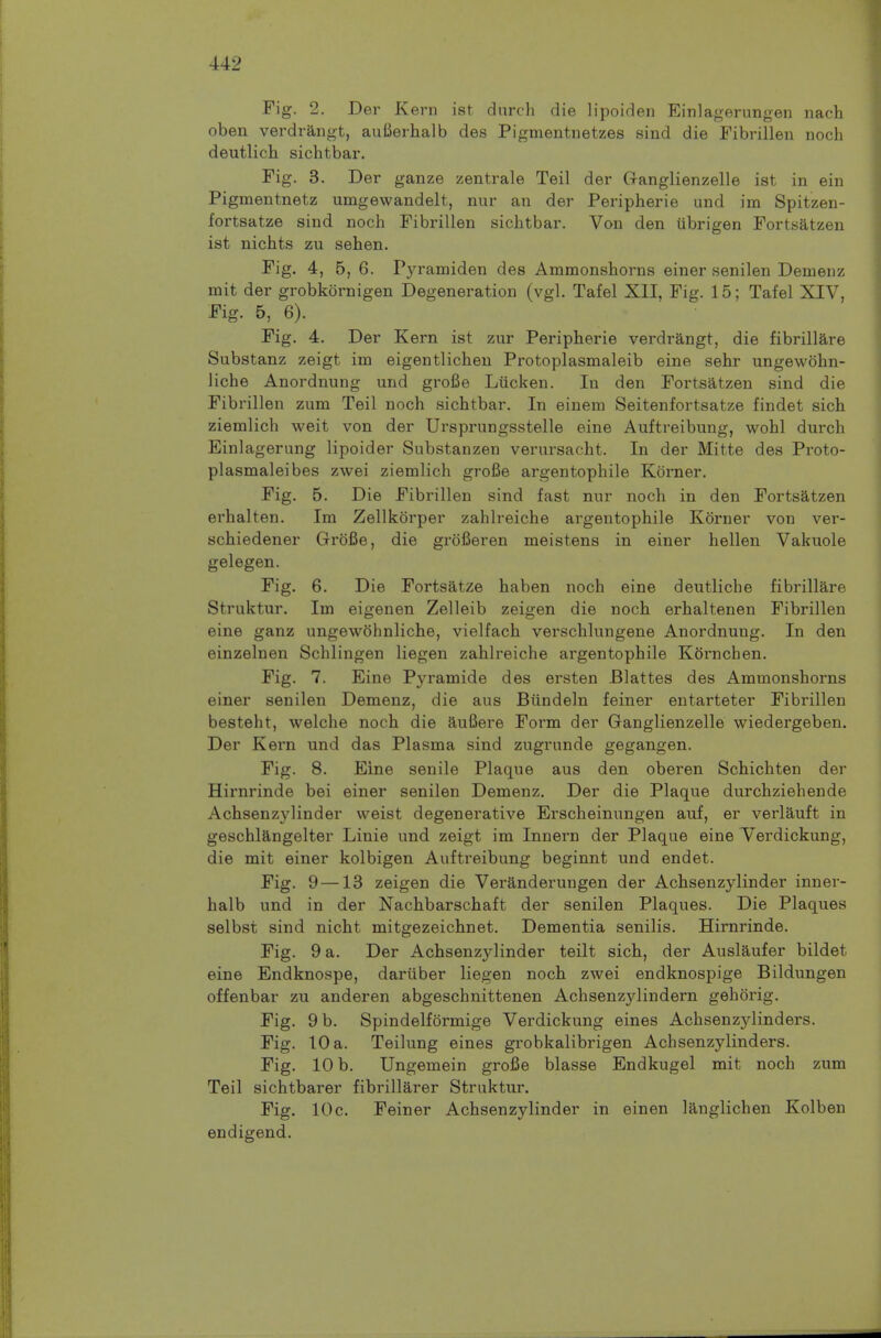 Fig. 2. Der Kern ist dnrch die lipoiden Einlagernngen nach oben verdi-angt, aufierhalb des Pigmentnetzes sind die Fibrillen noch deutlich sichtbar. Fig. 3. Der ganze zentrale Teil der Ganglienzelle ist in ein Pigmentnetz umgewandelt, nur an der Peripherie und im Spitzen- fortsatze sind noch Fibrillen sichtbar. Von den tibrigen Fortsatzen ist nichts zu sehen. Fig. 4, 5, 6. Pyramiden des Ammonshorns einer senilen Demenz mit der grobkornigen Degeneration (vgl. Tafel XII, Fig. 15; Tafel XIV, Fig. 5, 6). Fig. 4. Der Kern ist zur Peripherie verdrangt, die fibrillare Substanz zeigt ina eigentlicheu Protoplasmaleib eine sehr ungewohn- liche Anordnung und grofie Liicken. In den Fortsatzen sind die Fibrillen zum Teil noch sichtbar. In einem Seitenfortsatze findet sich ziemlich weit von der Ursprungsstelle eine Auftreibung, wohl durch Einlagerung lipoider Substanzen verursacht. In der Mitte des Proto- plasmaleibes zwei ziemlich grofie argentophile Korner. Fig. 5. Die Fibrillen sind fast nur noch in den Fortsatzen erhalten. Im Zellkorper zahlreiche argentophile Korner von vei-- schiedener Grofie, die grofieren meistens in einer hellen Vakuole gelegen. Fig. 6. Die Fortsatze haben noch eine deutliche fibrillare Struktur. Im eigenen Zelleib zeigen die noch erhaltenen Fibrillen eine ganz ungewohnliche, vielfach verschlungene Anordnung. In den einzelnen Schlingen liegen zahlreiche argentophile Kornchen. Fig. 7. Eine Pyramide des ersten Blattes des Ammonshorns einer senilen Demenz, die aus Biindeln feiner entarteter Fibrillen besteht, welche noch die auBere Form der Ganglienzelle wiedergeben. Der Kern und das Plasma sind zugrunde gegangen. Fig. 8. Eine senile Plaque aus den oberen Schichten der Hirnrinde bei einer senilen Demenz. Der die Plaque durchziehende Achsenzylinder weist degenerative Erscheinungen auf, er verlauft in geschlangelter Linie und zeigt im Innern der Plaque eine Verdickung, die mit einer kolbigen Auftreibung beginnt und endet. Fig. 9 —13 zeigen die Veranderungen der Achsenzylinder inner- halb und in der Nachbarschaft der senilen Plaques. Die Plaques selbst sind nicht mitgezeichnet. Dementia senilis. Hirnrinde. Fig. 9 a. Der Achsenzylinder teilt sich, der Auslaufer bildet eine Endknospe, dariiber liegen noch zwei endknospige Bildungen offenbar zu anderen abgeschnittenen Achsenzylindern gehorig. Fig. 9 b. Spindelformige Verdickung eines Achsenzylinders. Fig. 10 a. Teilung eines grobkalibrigen Achsenzylinders. Fig. 10 b. Ungemein grofie blasse Endkugel mit noch zum Teil sichtbarer fibrillarer Struktur. Fig. 10c. Feiner Achsenzylinder in einen langlichen Kolben endigend.