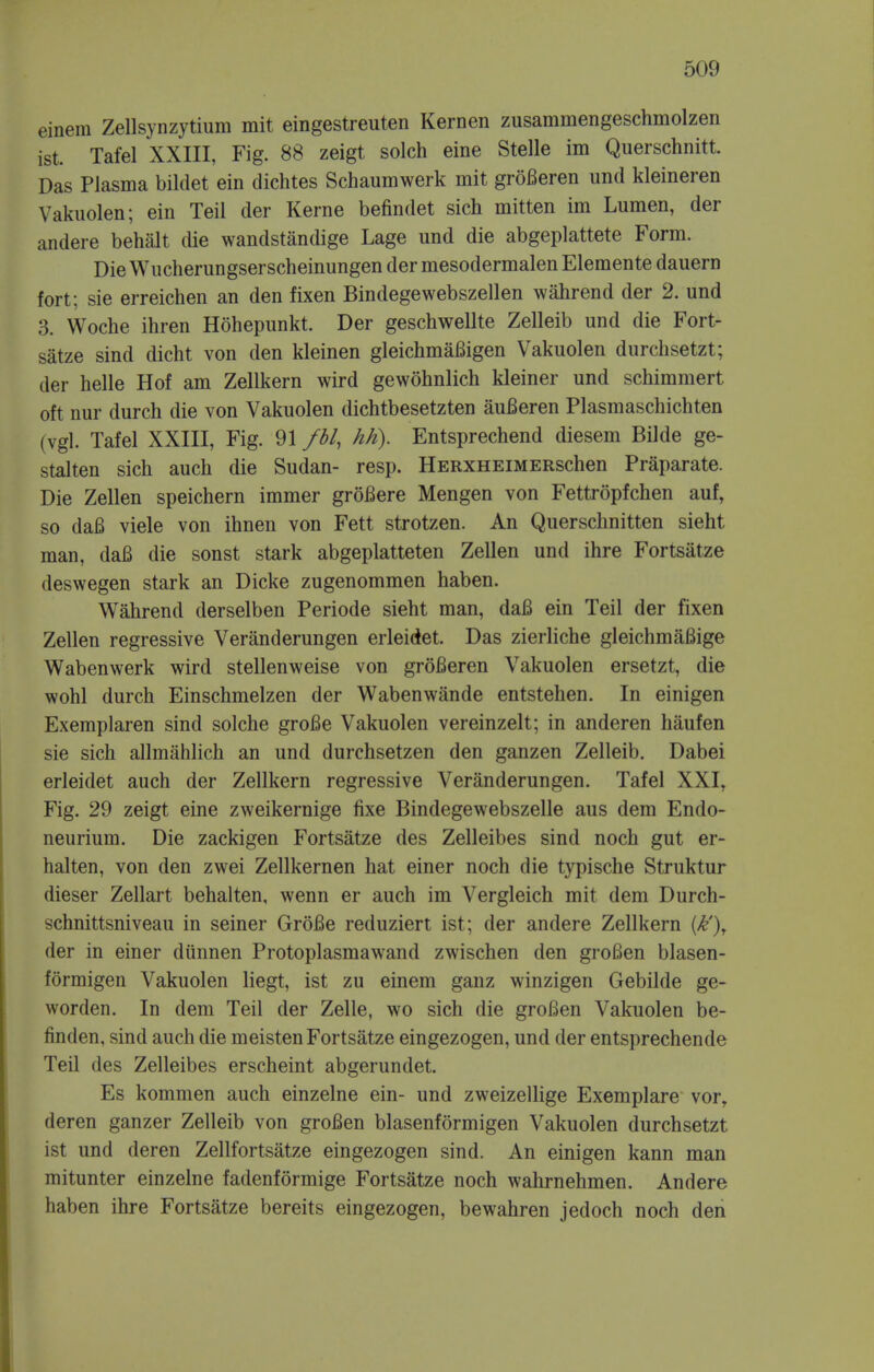 einem Zellsynzytium mit eingestreuten Kernen zusammengeschmolzen ist. Tafel XXIII, Fig. 88 zeigt solch eine Stelle im Querschnitt. Das Plasma bildet ein dichtes Schaumwerk mit groBeren und kleineren Vakuolen; ein Teil der Kerne befindet sich mitten im Lumen, der andere behalt die wandstandige Lage und die abgeplattete Form. DieWucherungserscheinungen der mesodermalen Elemente dauern fort; sie erreichen an den fixen Bindegewebszellen wahrend der 2. und 3. Woche ihren Hohepunkt. Der geschwellte Zelleib und die Fort- satze sind dicht von den kleinen gleichmaBigen Vakuolen durchsetzt; der helle Hof am Zellkern wird gewohnlich kleiner und schimmert oft nur durch die von Vakuolen dichtbesetzten auBeren Plasmaschichten (vgl. Tafel XXIII, Fig. 91 fbl, hh). Entsprechend diesem Bilde ge- stalten sich auch die Sudan- resp. HERXHEiMERSchen Praparate. Die Zellen speichern immer groBere Mengen von Fettropfchen auf, so dafi viele von ihnen von Fett strotzen. An Querschnitten sieht man, daB die sonst stark abgeplatteten Zellen und ihre Fortsatze deswegen stark an Dicke zugenommen haben. Wahrend derselben Periode sieht man, daB ein Teil der fixen Zellen regressive Veranderungen erleidet. Das zierliche gleichmaBige Wabenwerk wird stellenweise von groBeren Vakuolen ersetzt, die wohl durch Einschmelzen der Wabenwande entstehen. In einigen Exemplaren sind solche groBe Vakuolen vereinzelt; in anderen haufen sie sich allmahlich an und durchsetzen den ganzen Zelleib. Dabei erleidet auch der Zellkern regressive Veranderungen. Tafel XXI, Fig. 29 zeigt eine zweikernige fixe Bindegewebszelle aus dem Endo- neurium. Die zackigen Fortsatze des Zelleibes sind noch gut er- halten, von den zwei Zellkernen hat einer noch die typische Struktur dieser Zellart behalten, wenn er auch im Vergleich mit dem Durch- schnittsniveau in seiner GroBe reduziert ist; der andere Zellkern {k'), der in einer diinnen Protoplasmawand zwischen den groBen blasen- formigen Vakuolen liegt, ist zu einem ganz winzigen Gebilde ge- worden. In dem Teil der Zelle, wo sich die groBen Vakuolen be- finden, sind auch die meisten Fortsatze eingezogen, und der entsprechende Teil des Zelleibes erscheint abgerundet. Es kommen auch einzelne ein- und zweizellige Exemplare vor, deren ganzer Zelleib von groBen blasenformigen Vakuolen durchsetzt ist und deren Zellfortsatze eingezogen sind. An einigen kann man mitunter einzelne fadenformige Fortsatze noch wahrnehmen. Andere haben ihre Fortsatze bereits eingezogen, bewahren jedoch noch den