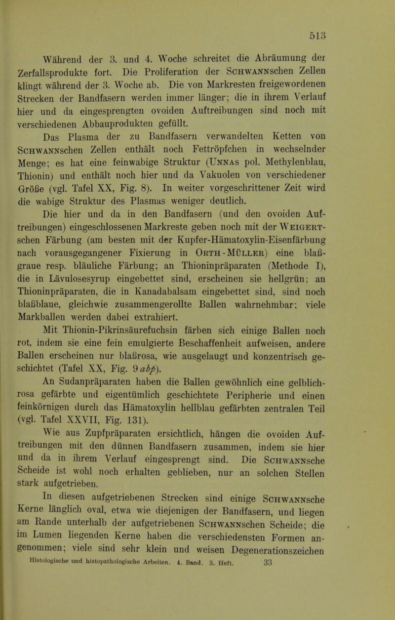 Wahrend der 3. und 4. Woche schreitet die Abraumung der Zerfallsprodukte fort. Die Proliferation der Schwannschen Zellen klingt wahrend der o. Woche ab. Die von Markresten freigewordenen Strecken der Bandfasern werden immer langer; die in ihrem Verlauf hier und da eingesprengten ovoiden Auftreibungen sind noch mit verschiedenen Abbauprodukten gefullt. Das Plasma der zu Bandfasern verwandelten Ketten von ScHWANNschen Zellen enthalt noch Fettropfchen in wechselnder Menge; es hat eine feinwabige Struktur (Unnas pol. Methylenblau, Thionin) und enthalt noch hier und da Vakuolen von verschiedener GroBe (vgl. Tafel XX, Fig. 8). In weiter vorgeschrittener Zeit wird die wabige Struktur des Plasmas weniger deutlich. Die hier und da in den Bandfasern (und den ovoiden Auf- treibungen) eingeschlossenen Markreste geben noch mit der Weigert- schen Farbung (am besten mit der Kupfer-Hamatoxylin-Eisenfarbung nach vorausgegangener Fixierung in Orth-Muller) eine blaB- graue resp. blauliche Farbung; an Thioninpraparaten (Methode I), die in Lavulosesyrup eingebettet sind, erscheinen sie hellgrun; an Thioninpraparaten, die in Kanadabalsam eingebettet sind, sind noch blafiblaue, gleichwie zusammengerollte Ballen wahrnehmbar; viele Markballen werden dabei extrahiert. Mit Thionin-Pikrinsaurefuchsin farben sich einige Ballen noch rot, indem sie eine fein emulgierte Beschaffenheit aufweisen, andere Ballen erscheinen nur blaBrosa, wie ausgelaugt und konzentrisch ge- schichtet (Tafel XX, Fig. 9abp). An Sudanpraparaten haben die Ballen gewohnlich eine gelblich- rosa gefarbte und eigentumlich geschichtete Peripherie und einen feinkornigen durch das Hematoxylin hellblau gefarbten zentralen Teil (vgl. Tafel XXVII, Fig. 131). Wie aus Zupfpraparaten ersichtlich, hangen die ovoiden Auf- treibungen mit den diinnen Bandfasern zusammen, indem sie hier und da in ihrem Verlauf eingesprengt sind. Die ScHWANNsche Scheide ist wohl noch erhalten geblieben, nur an solchen Stellen stark aufgetrieben. In diesen aufgetriebenen Strecken sind einige ScHWANNsche Kerne langlich oval, etwa wie diejenigen der Bandfasern, und liegen am Rande unterhalb der aufgetriebenen ScHWANNschen Scheide; die im Lumen liegenden Kerne haben die verschiedensten Formen an- genommen; viele sind sehr klein und weisen Degenerationszeichen Histologische und histopathologische Arbeiten. 4. Band. 3. Heft. 33