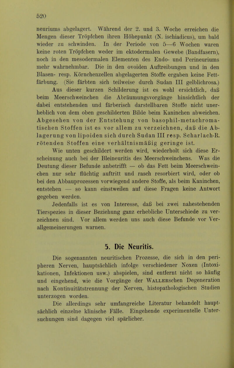 neuriums abgelagert. Wahrend der 2. und 3. Woche erreichen die Mengen dieser Tropfchen ihren Hohepunkt (N. ischiadicus), um bald wieder zu schwinden. In der Periode von 5—6 Wochen waren keine roten Tropfchen weder im ektodermalen Gewebe (Bandfasern), noch in den mesodermalen Elementen des Endo- und Perineuriums mehr wahrnehmbar. Die in den ovoiden Auftreibungen und in den Blasen- resp. Kornchenzellen abgelagerten Stoffe ergaben keine Fett- farbung. (Sie farbten sich teilweise durch Sudan III gelblichrosa.) Aus dieser kurzen Schilderung ist es wohl ersichtlich, daB beim Meerschweinchen die Abrauinungsvorgange hinsichtlich der dabei entstehenden und farberisch darstellbaren Stoffe nicht uner- heblich von dem oben geschilderten Bilde beim Kaninchen abweichen. Abgesehen von der Entstehung von basophil-nietachroma- tischen Stoffen ist es vor allem zu verzeichnen, daB die Ab- lagerung von lipoiden sich durch Sudan III resp. Scharlach-R. rotenden Stoffen eine verhaltnismafiig geringe ist. Wie unten geschildert werden wird, wiederholt sich diese Er- scheinung auch bei der Bleineuritis des Meerschweinchens. Was die Deutung dieser Befunde anbetrifft — ob das Fett beim Meerschwein- chen nur sehr fliichtig auftritt und rasch resorbiert wird, oder ob bei den Abbauprozessen vorwiegend andere Stoffe, als beim Kaninchen, entstehen — so kann einstweilen auf diese Fragen keine Antwort gegeben werden. Jedenfalls ist es von Interesse, daB bei zwei nahestehenden Tierspezies in dieser Beziehung ganz erhebliche Unterschiede zu ver- zeichnen sind. Vor allem werden uns auch diese Befunde vor Ver- allgemeinerungen warnen. 5. Die Neuritis. Die sogenannten neuritischen Prozesse, die sich in den peri- pheren Nerven, hauptsachlich infolge verschiedener Noxen (Intoxi- kationen, Infektionen usw.) abspielen, sind entfernt nicht so haufig und eingehend, wie die Vorgange der WALLERschen Degeneration nach Kontinuitatstrennung der Nerven, histopathologischen Studien unterzogen worden. Die allerdings sehr umfangreiche Literatur behandelt haupt- sachlich einzelne klinische Falle. Eingehende experimentelle Unter- suchungen sind dagegen viel sparlicher.