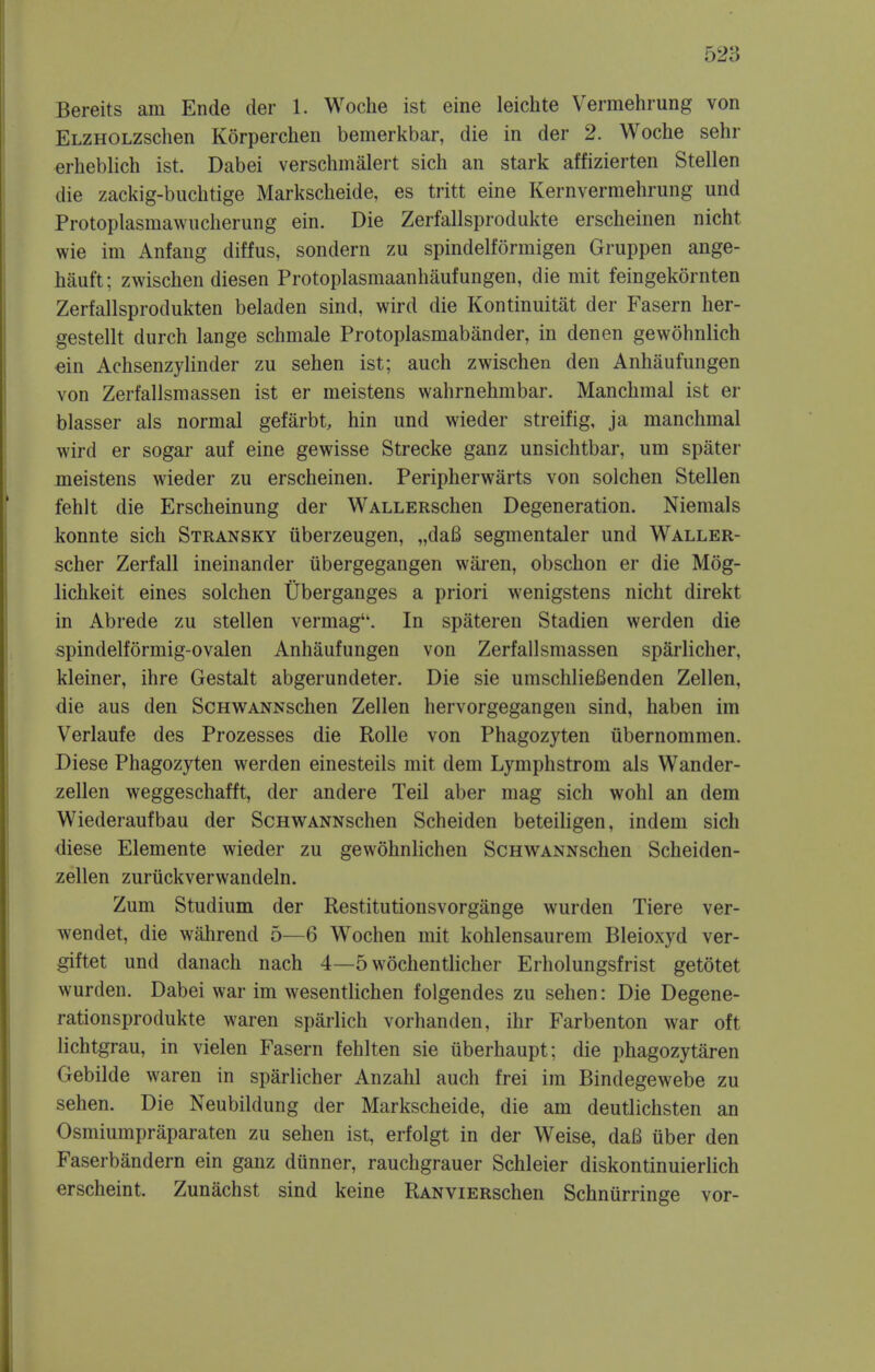 Bereits am Ende der 1. Woche ist eine leichte Vermehrung von ELZHOLZschen Korperchen bemerkbar, die in der 2. Woche sehr erheblich ist. Dabei verschmalert sich an stark affizierten Stellen die zackig-buchtige Markscheide, es tritt eine Kernvermehrung und Protoplasniawuclierung ein. Die Zerfallsprodukte erscheinen nicht wie im Anfang diffus, sondern zu spindelformigen Gruppen ange- hauft; zwischen diesen Protoplasmaanhaufungen, die mit feingekornten Zerfallsprodukten beladen sind, wird die Kontinuitat der Fasern her- gestellt durch lange schmale Protoplasmabander, in denen gewohnlich ein Achsenzylinder zu sehen ist; audi zwischen den Anhaufungen von Zerfallsmassen ist er meistens wahrnehmbar. Manchmal ist er blasser als normal gefarbt, hin und wieder streifig, ja manchmal wird er sogar auf eine gewisse Strecke ganz unsichtbar, um spater meistens wieder zu erscheinen. Peripherwarts von solchen Stellen fehlt die Erscheinung der WALLERschen Degeneration. Niemals konnte sich Stransky tiberzeugen, „daB segmentaler und Waller- scher Zerfall ineinander ubergegangen waren, obschon er die Mog- lichkeit eines solchen Uberganges a priori wenigstens nicht direkt in Abrede zu stellen vermag'k. In spateren Stadien werden die spindelformig-ovalen Anhaufungen von Zerfallsmassen sparlicher, kleiner, ihre Gestalt abgerundeter. Die sie umschlieBenden Zellen, die aus den ScHWANNschen Zellen hervorgegangen sind, haben im Verlaufe des Prozesses die Rolle von Phagozyten ubernommen. Diese Phagozyten werden einesteils mit dem Lymphstrom als Wander- zellen weggeschafft, der andere Teil aber mag sich wohl an dem Wiederaufbau der ScHWANNschen Scheiden beteiligen, indem sich diese Elemente wieder zu gewohnlichen ScHWANNschen Scheiden- zellen zuriickverwandeln. Zum Studium der Restitutionsvorgange wurden Tiere ver- wendet, die wahrend 5—6 Wochen mit kohlensaurem Bleioxyd ver- giftet und danach nach 4—5 wochentlicher Erholungsfrist getotet wurden. Dabei war im wesentlichen folgendes zu sehen: Die Degene- ration sprodukte waren sparlich vorhanden, ihr Farbenton war oft lichtgrau, in vielen Fasern fehlten sie iiberhaupt; die phagozytaren Gebilde waren in sparlicher Anzahl auch frei im Bindegewebe zu sehen. Die Neubildung der Markscheide, die am deutlichsten an Osmiumpraparaten zu sehen ist, erfolgt in der Weise, da6 uber den Faserbandern ein ganz dunner, rauchgrauer Schleier diskontinuierlich erscheint. Zuniichst sind keine RANViERschen Schniirringe vor-