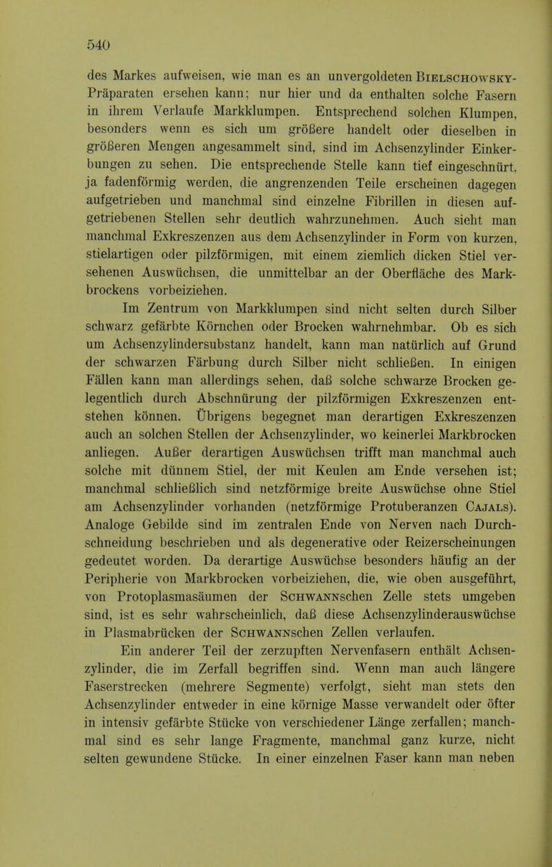 des Markes aufweisen, wie man es an unvergoldeten Bielschowsky- Praparaten ersehen kann; nur hier und da enthalten solche Fasern in ihrem Verlaufe Markklumpen. Entsprechend solchen Klumpen, besonders wenn es sich um groBere handelt oder dieselben in grofleren Mengen angesammelt sind, sind im Achsenzylinder Einker- bungen zu sehen. Die entsprechende Stelle kann tief eingeschnurt. ja fadenformig werden, die angrenzenden Teile erscheinen dagegen aufgetrieben und manchmal sind einzelne Fibrillen in diesen auf- getriebenen Stellen sehr deutlich wahrzunehmen. Auch sielit man manchmal Exkreszenzen aus dem Achsenzylinder in Form von kurzen. stielartigen oder pilzformigen, mit einem ziemlich dicken Stiel ver- sehenen Auswiichsen, die unmittelbar an der Oberfiache des Mark- brockens vorbeiziehen. Im Zentrum von Markklumpen sind nicht selten durch Silber schwarz gefarbte Kornchen oder Brocken wahrnehmbar. Ob es sich um Achsenzylindersubstanz handelt, kann man naturlich auf Grund der schwarzen Farbung durch Silber nicht schlieBen. In einigen Fallen kann man allerdings sehen, daH solche schwarze Brocken ge- legentlich durch Abschnurung der pilzformigen Exkreszenzen ent- stehen konnen. Ubrigens begegnet man derartigen Exkreszenzen auch an solchen Stellen der Achsenzylinder, wo keinerlei Markbrocken anliegen. Aufier derartigen Auswiichsen trifft man manchmal auch solche mit diinnem Stiel, der mit Keulen am Ende versehen ist; manchmal schliefilich sind netzformige breite Auswiichse ohne Stiel am Achsenzylinder vorhanden (netzformige Protuberanzen Cajals). Analoge Gebilde sind im zentralen Ende von Nerven nach Durch- schneidung beschrieben und als degenerative oder Reizerscheinungen gedeutet worden. Da derartige Auswiichse besonders haufig an der Peripherie von Markbrocken vorbeiziehen, die, wie oben ausgefiihrt, von Protoplasmasaumen der ScHWANNschen Zelle stets umgeben sind, ist es sehr wahrscheinlich, dafl diese Achsenzylinderauswiichse in Plasmabrucken der ScHWANNschen Zellen verlaufen. Ein anderer Teil der zerzupften Nervenfasern enthalt Achsen- zylinder, die im Zerfall begriffen sind. Wenn man auch langere Faserstrecken (mehrere Segmente) verfolgt, sieht man stets den Achsenzylinder entweder in eine kornige Masse verwandelt oder ofter in intensiv gefarbte Stiicke von verschiedener Lange zerfallen; manch- mal sind es sehr lange Fragmente, manchmal ganz kurze, nicht selten gewundene Stiicke. In einer einzelnen Faser kann man neben