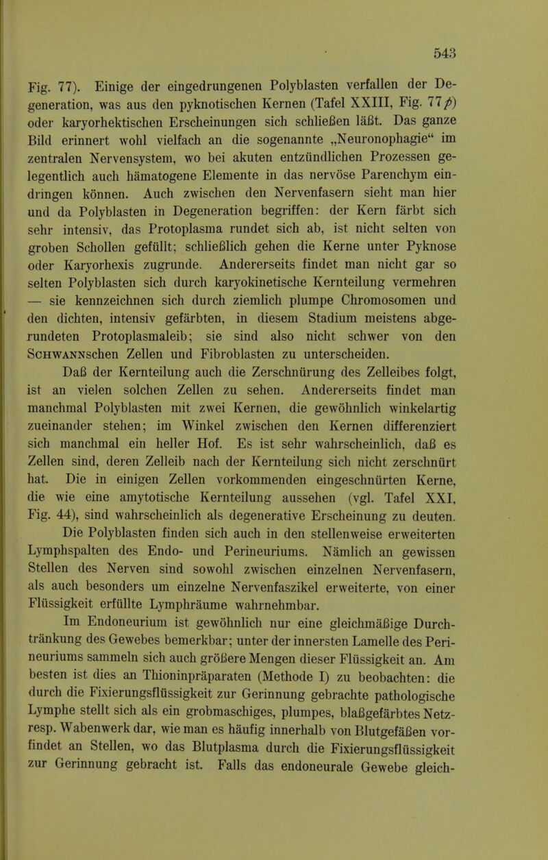 Fig. 77). Einige der eingedrungenen Polyblasten verfallen der De- generation, was aus den pyknotischen Kern en (Tafel XXIII, Fig. 77/) oder karyorhektischen Erscheinungen sich schliefien lafit. Das ganze Bild erinnert wohl vielfach an die sogenannte „Neuronophagie im zentralen Nervensystem, wo bei akuten entziindlichen Prozessen ge- legentlich audi hamatogene Eleniente in das nervose Parenchym ein- dringen konnen. Auch zwischen den Nervenfasern sieht man hier und da Polyblasten in Degeneration begriffen: der Kern farbt sich sehr intensiv, das Protoplasma rundet sich ab, ist nicht selten von groben Schollen gefiillt; schliefilich gehen die Kerne unter Pyknose oder Karyorhexis zugrunde. Andererseits findet man nicht gar so selten Polyblasten sich durch karyokinetische Kernteilung vermehren — sie kennzeichnen sich durch ziemlich plumpe Chromosomen und den dichten, intensiv gefarbten, in diesem Stadium meistens abge- rundeten Protoplasmaleib; sie sind also nicht schwer von den ScHWANNschen Zellen und Fibroblasten zu unterscheiden. Dafi der Kernteilung auch die Zerschnurung des Zelleibes folgt, ist an vielen solchen Zellen zu sehen. Andererseits findet man manchmal Polyblasten mit zwei Kernen, die gewohnlich winkelartig zueinander stehen; im Winkel zwischen den Kernen differenziert sich manchmal ein heller Hof. Es ist sehr wahrscheinlich, daB es Zellen sind, deren Zelleib nach der Kernteilung sich nicht zerschnurt hat. Die in einigen Zellen vorkommenden eingeschniirten Kerne, die wie eine amytotische Kernteilung aussehen (vgl. Tafel XXI, Fig. 44), sind wahrscheinlich als degenerative Erscheinung zu deuten. Die Polyblasten finden sich auch in den stellenweise erweiterten Lymphspalten des Endo- und Perineuriums. Namlich an gewissen Stellen des Nerven sind sowohl zwischen einzelnen Nervenfasern, als auch besonders urn einzelne Nervenfaszikel erweiterte, von einer Fliissigkeit erfiillte Lymphraume wahrnehmbar. Im Endoneurium ist gewohnlich nur eine gleichmaBige Durch- trankung des Gewebes bemerkbar; unter der innersten Lamelle des Peri- neuriums sammeln sich auch grotfere Mengen dieser Fliissigkeit an. Am besten ist dies an Thioninpraparaten (Methode I) zu beobachten: die durch die Fixierungsfliissigkeit zur Gerinnung gebrachte pathologische Lymphe stellt sich als ein grobmaschiges, plumpes, blafigefarbtes Netz- resp. Wabenwerk dar, wie man es haufig innerhalb von Blutgefafien vor- findet an Stellen, wo das Blutplasma durch die Fixierungsfliissigkeit zur Gerinnung gebracht ist. Falls das endoneurale Gewebe gleich-