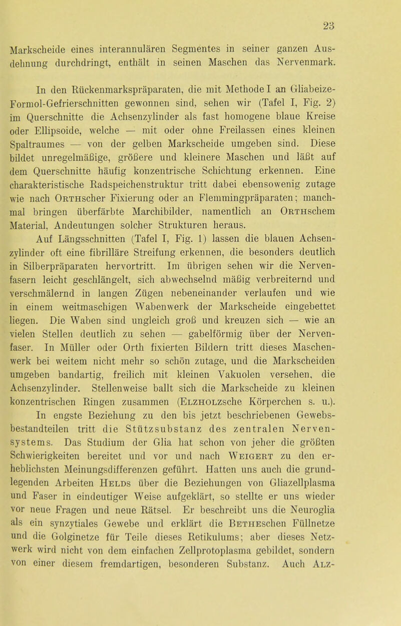 Markscheide eines interannularen Seginentes in seiner ganzen Aus- delinung durchdringt, enthalt in seinen Maschen das Nervenmark. In den Ruckenmarkspraparaten, die mit Methode I an Gliabeize- Forniol-Gefrierschnitten gewonnen sind, sehen wir (Tafel I, Fig. 2) im Querschnitte die Acksenzylinder als fast homogene blaue Kreise oder Ellipsoide, welche — mit oder ohne Freilassen eines kleinen Spaltraumes - - von der gelben Markscheide umgeben sind. Diese bUdet unregelmafiige, groBere und kleinere Maschen und laBt auf dem Querschnitte haufig konzentrische Schichtung erkennen. Eine charakteristische Radspeichenstruktur tritt dabei ebensowenig zutage wie nach ORTHscher Fixierung oder an Flenimingpraparaten; inanch- mal bringen iiberfarbte Marchibdder, namentlich an ORTHSchem Material, Andeutungen solcher Strukturen heraus. Auf Langsschnitten (Tafel I, Fig. 1) lassen die blauen Achsen- zylinder oft eine fibrillare Streifung erkennen, die besonders deutlich in Silberpraparaten hervortritt. Ira ubrigen sehen wir die Nerven- fasern leicht geschlangelt, sich abwechselnd maBig verbreiternd und verschmalernd in langen Ziigen nebeneinander verlaufen und wie in einem weitmaschigen Wabenwerk der Markscheide eingebettet liegen. Die Waben sind ungleich groB und kreuzen sich — wie an vielen Stellen deutlich zu sehen — gabelformig iiber der Nerven- faser. In Miiller oder Orth fixierten Bildern tritt dieses Maschen- werk bei weitem nicht mehr so schon zutage, und die Markscheiden umgeben bandartig, freilich mit kleinen Vakuolen versehen, die Achsenzylinder. Stellenweise ballt sich die Markscheide zu kleinen konzentrischen Ringen zusammen (ELZHOLZsche Korperchen s. u.). In engste Beziehung zu den bis jetzt beschriebenen Gewebs- bestandteilen tritt die Stiitzsubstanz des zentralen Nerven- systems. Das Studium der Glia hat schon von jeher die groBten Schwierigkeiten bereitet und vor und nach Weigert zu den er- heblichsten Meinungsdifferenzen gefiihrt. Hatten uns auch die grund- legenden Arbeiten Helds uber die Beziehungen von Gliazellplasma und Faser in eindeutiger Weise aufgeklart, so stellte er uns wieder vor neue Fragen und neue Ratsel. Er beschreibt uns die Neuroglia als ein synzytiales Gewebe und erklart die BETHESchen Fiillnetze und die Golginetze fur Teile dieses Retikulums; aber dieses Netz- werk wird nicht von dem einfachen Zellprotoplasma gebildet, sondern von einer diesein fremdartigen, besonderen Substanz. Auch Alz-