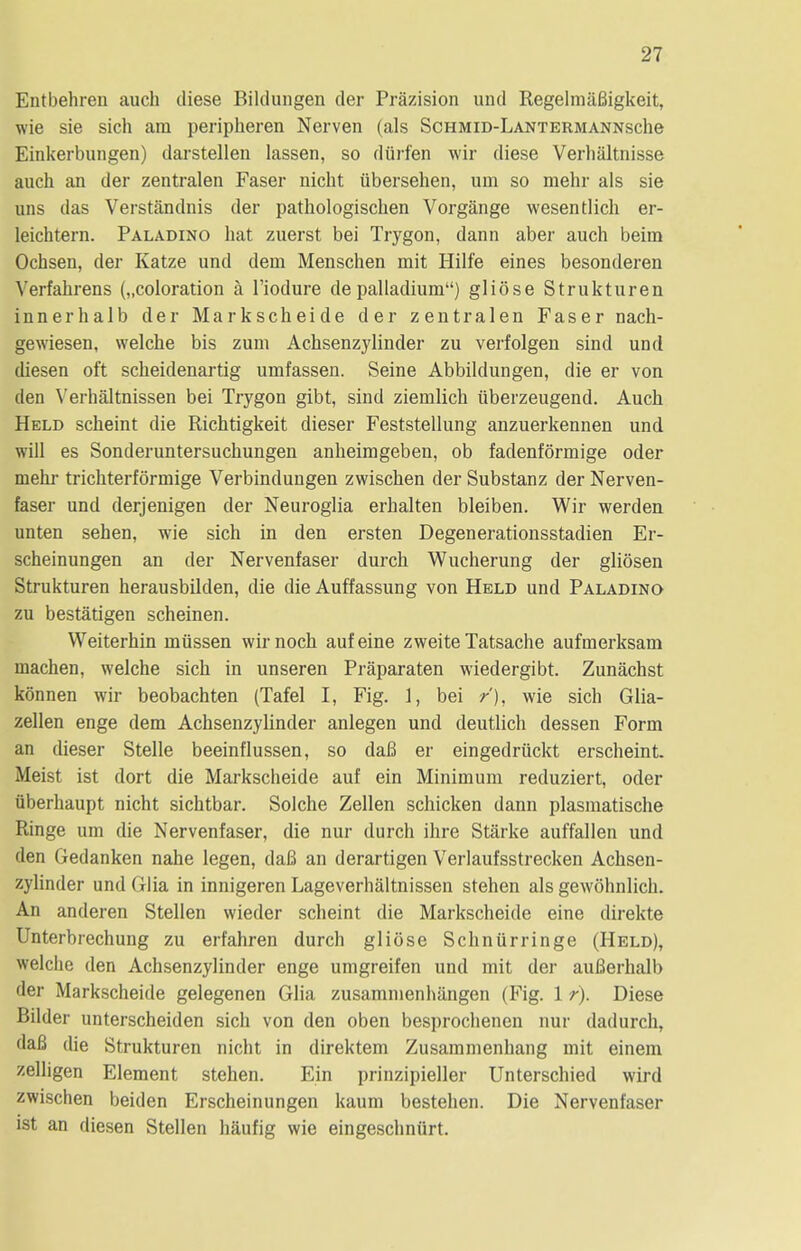 Entbekren audi diese Bildungen cler Prazision und RegelmaBigkeit, wie sie sich am peripheren Nerven (als ScHMiD-LANTERMANNsche Einkerbungen) darstellen lassen, so diirfen wir diese Verkiiltnisse auck an der zentralen Faser nicbt iiberseben, um so mehr als sie uns das Verstandnis der patkologiscken Vorgange wesentlick er- leichtern. Paladino kat zuerst bei Trygon, dann aber auck beim Ocksen, cler Katze und deni Menscken mit Hilfe eines besonderen Verfakrens („coloration a l'iodure de palladium) gliose Strukturen innerkalb der Marksckeide der zentralen Faser nack- gewiesen, welcke bis zum Acksenzylinder zu verfolgen sind und diesen oft sckeidenartig umfassen. Seine Abbildungen, die er von den Verkaltnissen bei Trygon gibt, sind ziemlicb iiberzeugend. Auck Held sckeint die Ricktigkeit dieser Feststellung anzuerkennen und will es Sonderuntersuckungen ankeimgeben, ob faclenformige oder rnenr trickterformige Verbindungen zwiscken der Substanz der Nerven- faser und derjenigen cler Neuroglia erkalten bleiben. Wir werden unten seken, wie sick in den ersten Degenerationsstadien Er- sckeinungen an der Nervenfaser durck Wuckerung der gliosen Strukturen kerausbilden, die die Auffassung von Held und Paladino zu bestatigen sckeinen. Weiterbin miissen wir nock aufeine zweite Tatsacke aufinerksam macken, welcke sick in unseren Praparaten wiedergibt. Zunackst konnen wir beobachten (Tafel I, Fig. 1, bei r), wie sick Glia- zellen enge dem Acksenzylinder anlegen und deutlick dessen Form an dieser Stelle beeinflussen, so daft er eingedruckt ersckeint. Meist ist dort die Marksckeide auf ein Minimum reduziert, oder iiberbaupt nickt sicktbar. Solcke Zellen sckicken dann plasmatiscke Ringe um die Nervenfaser, die nur durck ikre Starke auffallen und den Gedanken nake legen, daB an derartigen Verlaufsstrecken Acksen- zylinder und Glia in innigeren Lageverkaltnissen steken als gewoknlick. An anderen Stellen wieder sckeint die Marksckeide eine direkte Unterbreckung zu erfahren durck gliose Sckniirringe (Held), welcke den Acksenzylinder enge umgreifen unci mit der aufierkalb der Marksckeide gelegenen Glia zusammenkangen (Fig. 1 r). Diese Bilder untersckeiden sick von den oben besprockenen nur dadurck, dafi die Strukturen nickt in direktem Zusammenkang mit einem zelligen Element steken. Ein prinzipieller Untersckied wird zwischen beiden Ersckeinungen kaum besteken. Die Nervenfaser ist an diesen Stellen kaufig wie eingesckniirt.