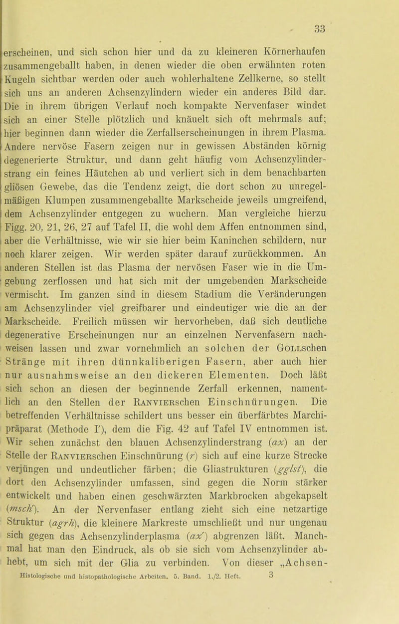 erscheinen. und sich schon hier und da zu kleineren Kornerhaufen zusammengeballt baben. in denen wieder die oben erwiilinten roten Kugeln sicbtbar werden oder auch woblerbaltene Zellkerne, so stellt sich uns an anderen Achsenzylindern wieder ein anderes Bild dar. Die in ihrem ubrigen Verlauf noch kompakte Nervenfaser windet sich an einer Stelle plotzlich und knauelt sich oft mehrmals auf; hier beginnen dann wieder die Zerfallserscheinungen in ihrem Plasma. Andere nervose Fasern zeigen nur in gewissen Abstanden kornig degenerierte Struktur, und dann geht haufig vom Achsenzylinder- strang ein feines Hautchen ab und verliert sich in dem benachbarten gliosen Gewebe, das die Tendenz zeigt, die dort schon zu unregel- niaBigen Klumpen zusammengeballte Markscheide jeweils umgreifend, dem Achsenzylinder entgegen zu wuchern. Man vergleiche hierzu Figg. 20, 21, 26, 27 auf Tafel II, die wohl dem Affen entnommen sind, aber die Verhaltnisse, wie wir sie hier beim Kaninchen schildern, nur noch klarer zeigen. Wir werden spater darauf zuriickkommen. An anderen Stellen ist das Plasma der nervosen Faser wie in die Um- gebung zerflossen und hat sich mit der umgebenden Markscheide vermischt. Im ganzen sind in diesem Stadium die Veranderungen am Achsenzylinder viel greifbarer und eindeutiger wie die an der Markscheide. Freilich miissen wir hervorheben, daB sich deutliche degenerative Erscheinungen nur an einzelnen Nervenfasern nach- weisen lassen und zwar vornehmlich an solchen der GoLLschen Strange mit ihren diinnkaliberigen Fasern, aber auch hier nur ausnahmsweise an den dickeren Elementen. Doch laBt sich schon an diesen der beginnende Zerfall erkennen, nament- lich an den Stellen der RANViERschen Einschnurungen. Die betreffenden Verhaltnisse schildert uns besser ein iiberfarbtes Marchi- praparat (Methode I'), dem die Fig. 42 auf Tafel IV entnommen ist. Wir sehen zunachst den blauen Achsenzylinderstrang (ax) an der Stelle der RANViERschen Einschnurung (r) sich auf eine kurze Strecke verjungen und undeutlicher fiirben; die Gliastrukturen {gglst), die flort den Achsenzylinder umfassen, sind gegen die Norm starker entwickelt und haben einen geschwarzten Markbrocken abgekapselt (msc/i). An der Nervenfaser entlang zieht sich eine netzartige Struktur (agrh), die kleinere Markreste umschlieBt und nur ungenau sich gegen das Achsenzylinderplasma (ax) abgrenzen liiBt. Manch- mal hat man den Eindruck, als ob sie sich vom Achsenzylinder ab- hebt, um sich mit der Glia zu verbinden. Von dieser „Achsen- Histologischo und histopathologische Arbcitcn. o. Band. 1./2. lloft. 3