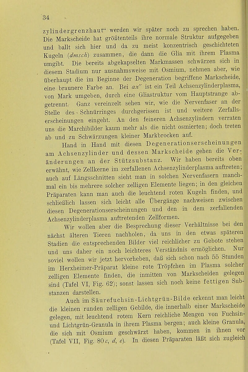 zylindergrenzhaut werden wir spater noch zu sprechen haben. Die Markscheide hat grofitenteils ihre nonnale Struktur aufgegeben und ballt sich bier und da zu meist konzentrisch geschichteten Kugeln (dmsch) zusammen, die dann die Glia mit ihrem Plasma umgibt. Die bereits abgekapselten Markmassen schwarzen sich in diesem Stadium nur ausnahmsweise mit Osmium, nebmen aber, wie iiberhaupt die im Beginne der Degeneration begriffene Markscheide, eine braunere Farbe an. Bei ax ist ein Teil Achsenzylinderplasma, von Mark umgeben, durcb eine Gliastruktur vom Hauptstrange ab- getrennt. Ganz vereinzelt sehen wir, wie die Nervenfaser an der Stelle des < Schniirringes durchgerissen ist und weitere Zerfalls- erscheinungen eingeht. An den feineren Achsenzylindern verraten uns die Marchibilder kaum mehr als die nicht osmierten; dock- treten I ab und zu Schwarzungen kleiner Markbrocken auf. Hand in Hand mit diesen Degenerationserscheinungen am Achsenzylinder und dessen Markscheide gehen die Ver: anderungen an der Stiitzsubstanz. Wir haben bereits oben erwahnt, wie Zellkerne im zerfallenen Achsenzylinderplasma auftreten; auch auf Langsschnitten sieht man in solchen Nervenfasern manch- mal ein bis mehrere solcher zelligen Elemente liegen; in den gleichen Praparaten kann man auch die leuchtend roten Kugeln finden, und schlieBlich lassen sich leicht alle Ubergange nachweisen zwischen diesen Degenerationserscheinungen und den in dem zerfallenden Achsenzylinderplasma auftretenden Zellformen. Wir wollen aber die Besprechung dieser Verhaltnisse bei den nachst alteren Tieren nachholen, da uns in den etwas spateren Stadien die entsprechenden Bilder viel reichlicher zu Gebote stehen und uns daher ein noch leichteres Verstandnis ermoglicheu. Nur soviel wollen wir jetzt hervorheben, daB sich schon nach 55 Stunden im Herxheimer-Praparat kleine rote Tropfchen im Plasma solcher zelligen Elemente finden, die inmitten von Markscheiden gelegen sind (Tafel VI, Fig. 62); sonst lassen sich noch keine fettigen Sub- stanzen darstellen. Auch im Saurefuchsin-Lichtgrun-Bilde erkennt man leicht die kleinen runden zelligen Gebilde, die innerhalb einer Markscheide gelegen, mit leuchtend rotem Kern reichliche Mengen von Fuchsin- und Lichtgriin-Granula in ihrem Plasma bergen; auch kleine Granula, die sich mit Osmium geschwarzt haben, kommen in ihnen vor (Tafel VII, Fig. 80 c, d, e). In diesen Praparaten laBt sich zugleich