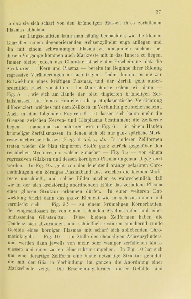 so daB sie sich scharf von den krumeligen Massen ihres zerfallenen Plasmas abheben. An Langsschnitten kann man haufig beobachten, wie die kleinen Gliazellen einem degenerierenden Achsenzylinder enge anliegen und inn mit einem schwammigen Plasma zu umspinnen suchen; bei diesem Vorgange kommen auch Markreste mit in das Innere zu liegen. Immer bleibt jedoch das Charakteristische der Erscheinung, daB die Strukturen — Kern und Plasma — bereits im Beginne ihrer Bildung regressive Veranderungen an sich tragen. Daher kommt es nie zur Entwicklung eines kraftigen Plasmas, und der Zerfall geht auBer- ordentlich rasch vonstatten. Im Quersclmitte sehen wir dann — Fig. 5 —, wie sich am Rande der blau tingierten krumeligen Zer- fallsmassen ein femes Hautchen als protoplasmatische Verdichtung differenziert, welches mit dem Zellkern in Verbindung zu stehen scheint. Auch in den folgenden Figuren 6—10 lassen sich kaum mehr die Grenzen zwischen Nerven- und Gliaplasma bestimmen; die Zellkerne liegen - - manchmal zu mehreren wie in Fig. 6 — in einem Haufen kriimeliger Zerfallsmassen, in denen sich oft nur ganz sparliche Mark- reste nachweisen lassen (Figg. 6, 7 6, c, d). In anderen Zellformen treten wieder die blau tingierten Stoffe ganz zuruck gegeniiber den reichlichen Myelinresten, welche zunachst — Fig. la — von einem regressiven Gliakern und dessen kornigem Plasma ungenau abgegrenzt werden. In Fig. 9 a geht von den leuchtend orange gefarbten Chro- matinkugeln ein korniges Plasmaband aus, welches die kleinen Mark- reste umschliefit, und solche Bilder machen es wahrscheinlich, daB wir in der sich kreisformig anordnenden Hiille das zerfallene Plasma einer gliosen Struktur erkennen diirfen. In einer weiteren Ent- wicklung bricht dann das ganze Element wie in sich zusammen und vermischt sich — Fig. 9 b — zu einem krumeligen Kornerhaufen, der eingeschlossen ist von einem schmalen Myelinstreifen und einer umfassenden Gliastruktur. Diese kleinen Zellformen haben die Tendenz sich abzurunden, und schlieBlich restieren anniihernd runde Gebilde eines kornigen Plasmas mit scharf sich abhebenden Chro- matinkugeln — Fig. 10 — an Stelle des ehemaligen Aclisenzylinders, und werden dann jeweils von mehr oder weniger zerfallenen Mark- massen und einer zarten Gliastruktur umgeben. In Fig. 10 hat sich um eine derartige Zellform eine blaue netzartige Struktur gebildet, die mit der Glia in Verbindung, im ganzen die Anordnung einer Markscheide zeigt. Die Erscheinungsformen dieser Gebilde sind