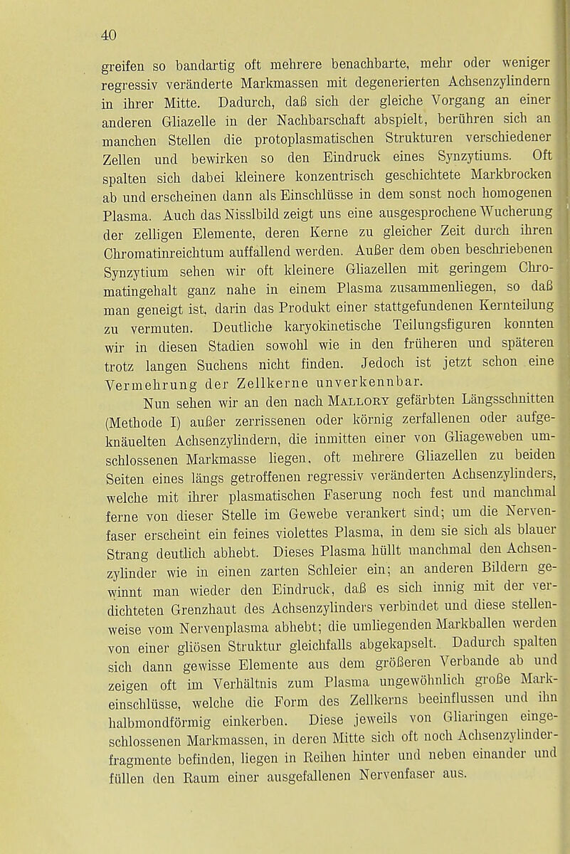 greifen so bandartig oft mehrere benachbarte, mehr oder weniger jj regressiv veranderte Markmassen mit degenerierten Achsenzylindern in ihrer Mitte. Dadurcb, dafi sicb der gleiche Vorgang an einer 1 anderen Gliazelle in der Nachbarschaft abspielt, beriihren sicb an mancben Stellen die protoplasmatiscben Strukturen verschiedener Zellen und bewirken so den Eindruck eines Synzytiums. Oft spalten sicb dabei kleinere konzentriscb gescbicbtete Markbrocken ab und erscbeinen dann als Einschlusse in dem sonst noch homogenen | Plasma. Aucb das Nisslbild zeigt uns eine ausgesprocbene Wucberung der zelligen Elemente, deren Kerne zu gleicber Zeit durcb ibren Cbromatinreicbtum auffallend werden. AuBer dem oben bescbriebenen » Synzytium seben wir oft kleinere Gliazellen mit geringem Cbro- j matingehalt ganz nahe in einem Plasma zusammenliegen, so da6 man geneigt ist, darin das Prodnkt einer stattgefundenen Kernteilung zu vermuten. Deutlicbe karyokinetiscbe Teilungsfiguren konnten wir in diesen Stadien sowohl wie in den friiheren und spateren trotz langen Sucbens nicbt finden. Jedocb ist jetzt schon eine I Vermebrung der Zellkerne unverkennbar. Nun seben wir an den nacb Mallory gefarbten Langsscbnitten (Metbode I) aufier zerrissenen oder kornig zerfallenen oder aufge- knauelten Acbsenzylindern, die inmitten einer von Gliageweben um- scblossenen Markmasse liegen, oft mebrere Gliazellen zu beiden Seiten eines langs getroffenen regressiv veranderten Acbsenzylinders, welcbe mit ibrer plasmatischen Faserung nocb fest und manchmal feme von dieser Stelle im Gewebe verankert sind; um die Nerven- * faser erscbeint ein feines violettes Plasma, in dem sie sicb als blauer Strang deutlicb abbebt. Dieses Plasma built mancbmal den Acbsen-1 zylinder wie in einen zarten Schleier ein; an anderen Bildern ge- winnt man wieder den Eindruck, daB es sicb innig mit der ver- dicbteten Grenzbaut des Achsenzylinders verbindet und diese stellen- weise vom Nervenplasma abbebt; die umliegenden Markballen werden von einer gUosen Struktur gleicbfalls abgekapselt. Dadurcb spalten sich dann gewisse Elemente aus dem groBeren Verbande ab und zeigen oft im Verbaltnis zum Plasma ungewobnlich groBe Mark- einschliisse, welcbe die Form des Zellkerns beeinflussen und ibn balbmondformig einkerben. Diese jeweils von Gliaringen einge- schlossenen Markmassen, in deren Mitte sich oft noch Achsenzylinder- fragmente befinden, liegen in Reihen hinter und neben einander unci fiillen den Raum einer ausgefallenen Nervenfaser aus.