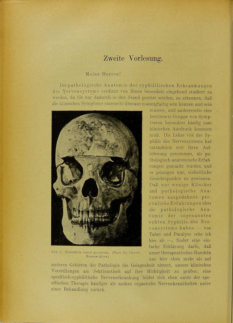 Zweite Vorlesung. Meine Herren! Die pathologische Anatomie der syphilitischen Erkrankungen cles Nervensystems verdient von Ihnen besonders eingehend studiert zu werden, da Sic nur d'adurch in den Stand gesetzt werden, zu erkennen, daB die klinischen Symptome einerseits iiber'aus mannigfaltig sein konnen und sein miissen, und andererseits eine bestimmte Gruppe von Symp- tom en besonders haufig zum klinischen Ausdruck kommen muB. Die Lehre von der Sy- philis des Nervensystems hat tatsachlich erst ihren Auf- schwung genommen, als pa- thologisch-anatomische Erfah- rungen gemacht wurden und es gelungen war, einheitliche Gesichtspunkte zu gewinnen. DaB nur wenige Kliniker und pathologische Ana- tomen ausgedehnte per- s bnliche Erf ahrungeniiber die pathologische Ana- tomie der sogenannten echten Syphilis des Ner- vensystems haben — von Tabes und Paralyse sehe ich hier ab —, findet eine ein- fache Erklarung darin, daB unser therapeutisches Handeln uns hier eben mehr als auf Alib. 2. Periostitis cranii gumiiiosa. (Nach Or. ,1acob, Buenos-Aires.) anderen Gebieten der Pathologic die Gelegenheit nhnmt, unsere klinischen Vorstellungen am ' Sektionstisch auf ihre Richtigkeit zu prufen; eine spezifisch-syphilitische Nervenerkrankung bildet sich eben unter der spe- zifischen Therapie haufiger als anderc organischc Nervenkrankheiten untor emer Behandlung zurlick.